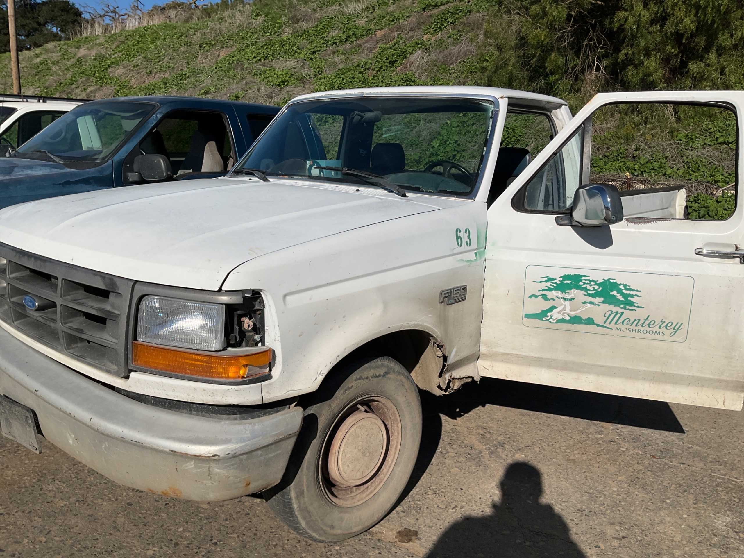 1994 FORD F-150 PICKUP TRUCK 1994 FORD F-150 PICKUP TRUCK