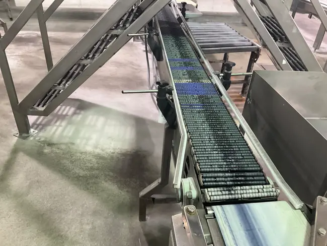 STAINLESS STEEL BELT CONVEYOR - undefined