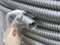 FLEXTRON F394GAL CONDUIT, GALV. STEEL, 0.468 IN ID, 0.590 IN OD - CONDUIT