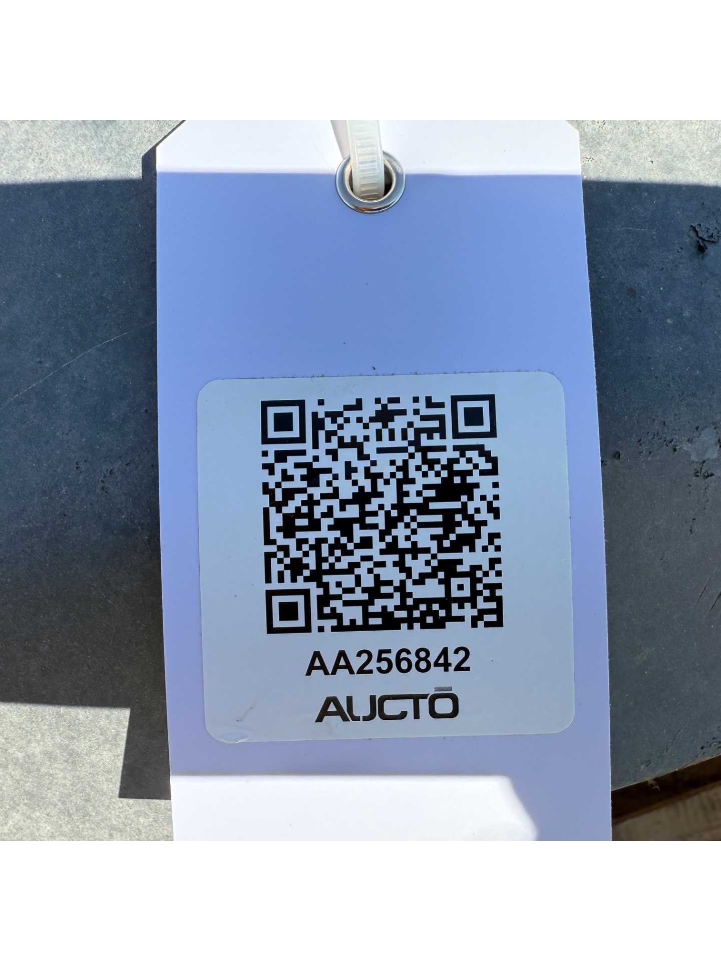QTY 2: AC MOTORS - AC MOTOR