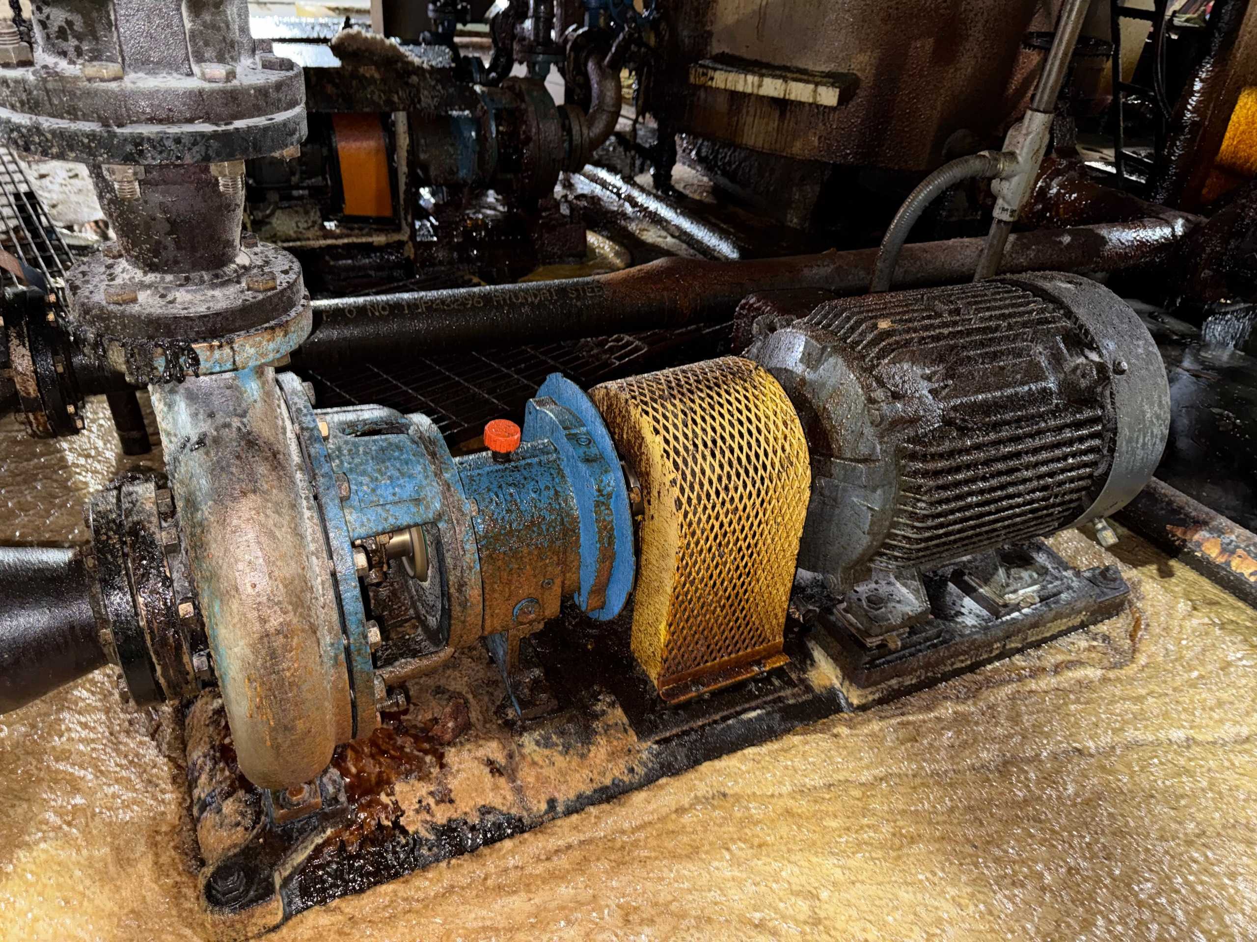 GOULDS 3196 MTO PUMP & MOTOR ASSEMBLY - PUMP & MOTOR ASSEMBLY