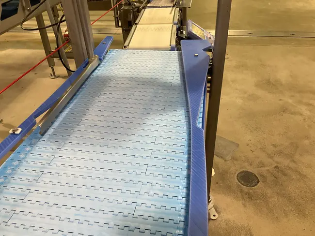 STAINLESS STEEL BELT CONVEYOR - undefined