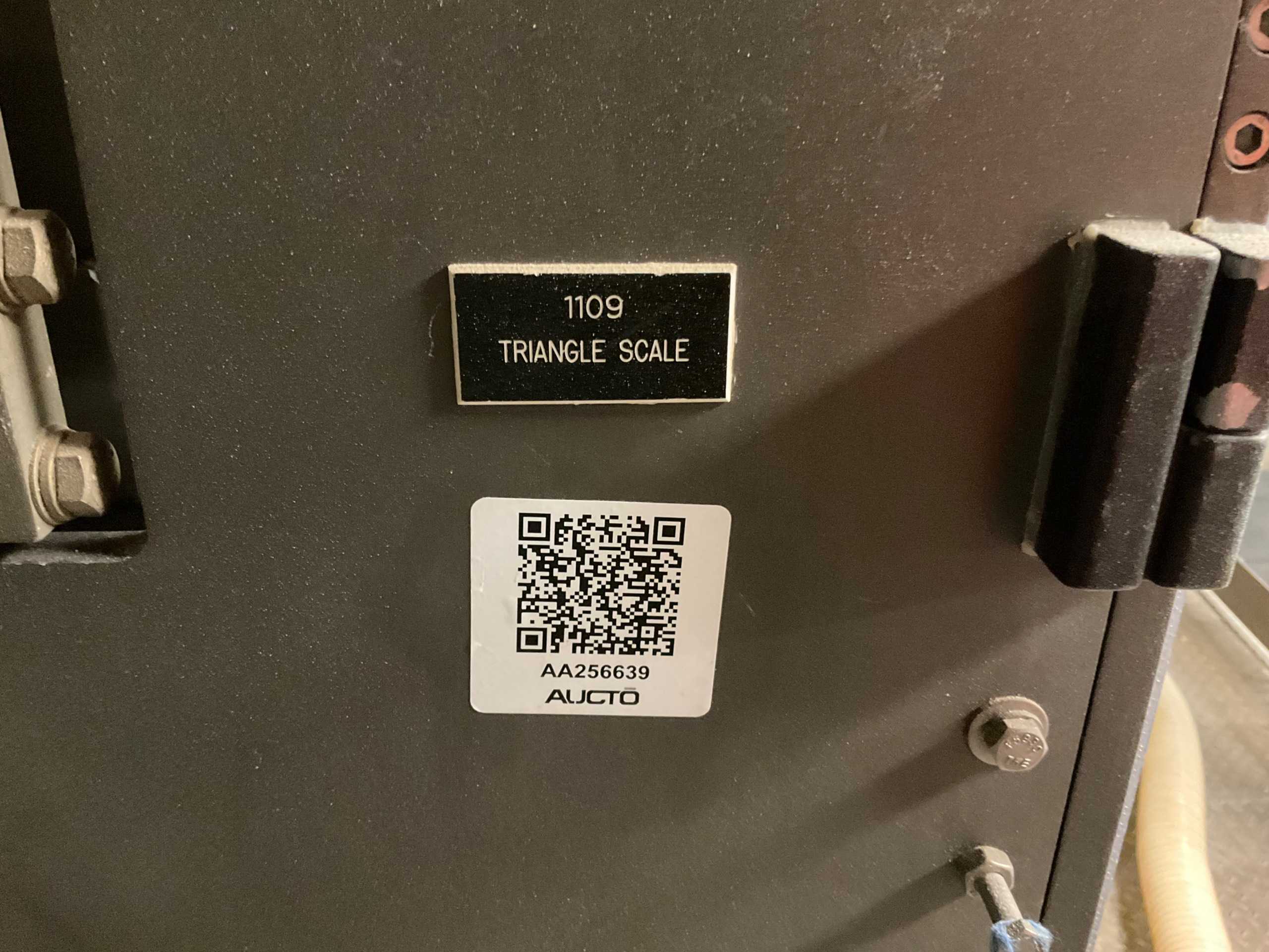TRIANGLE AG12H1RN SCALE - SCALES