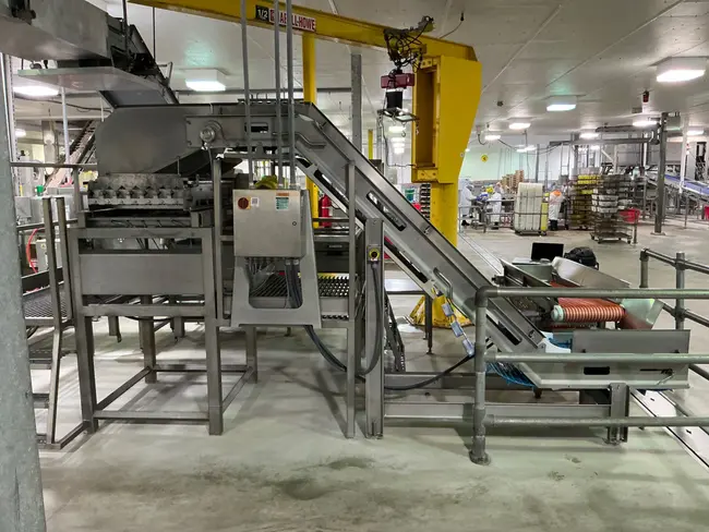 2006 DUTCH TECSOURCE DRY SLICER 2 LANES - undefined