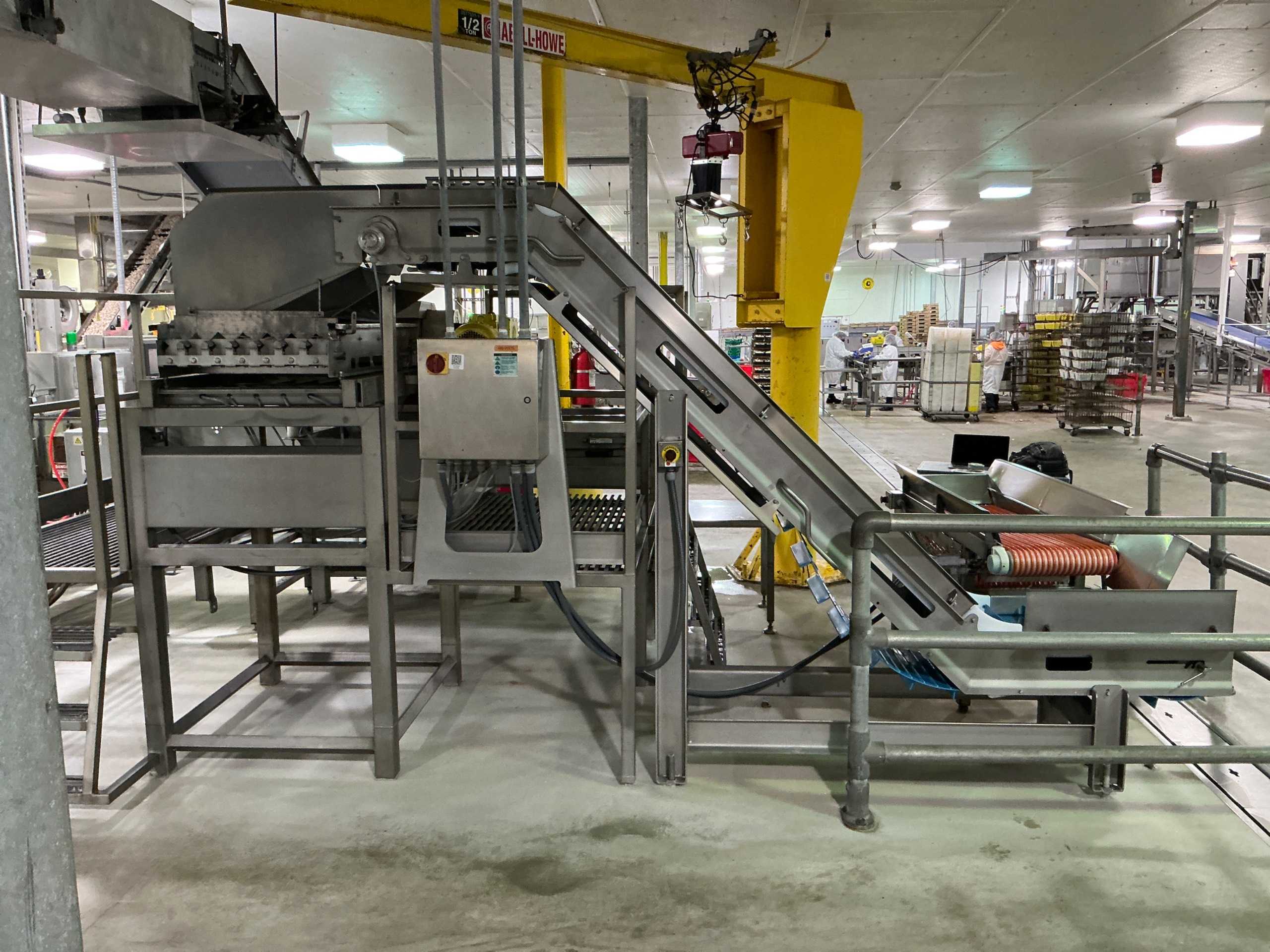 2006 DUTCH TECSOURCE DRY SLICER 2 LANES - SLICER