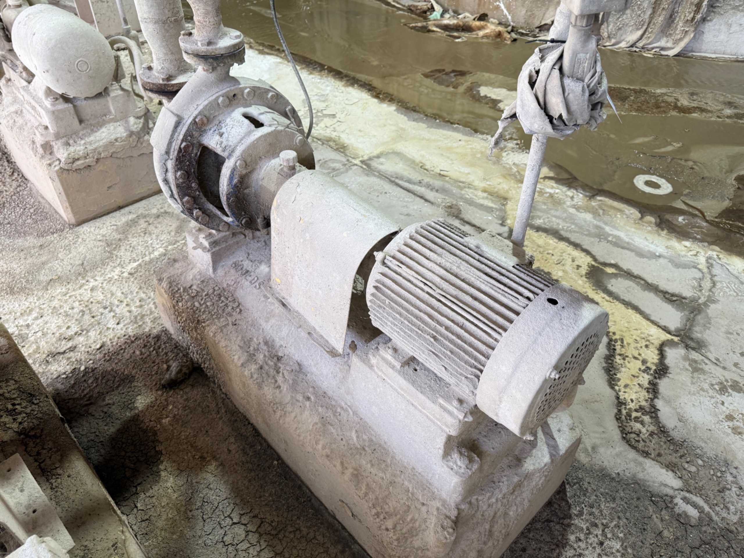 GOULDS MT 3196 PUMP & MOTOR ASSEMBLY - PUMP & MOTOR ASSEMBLY