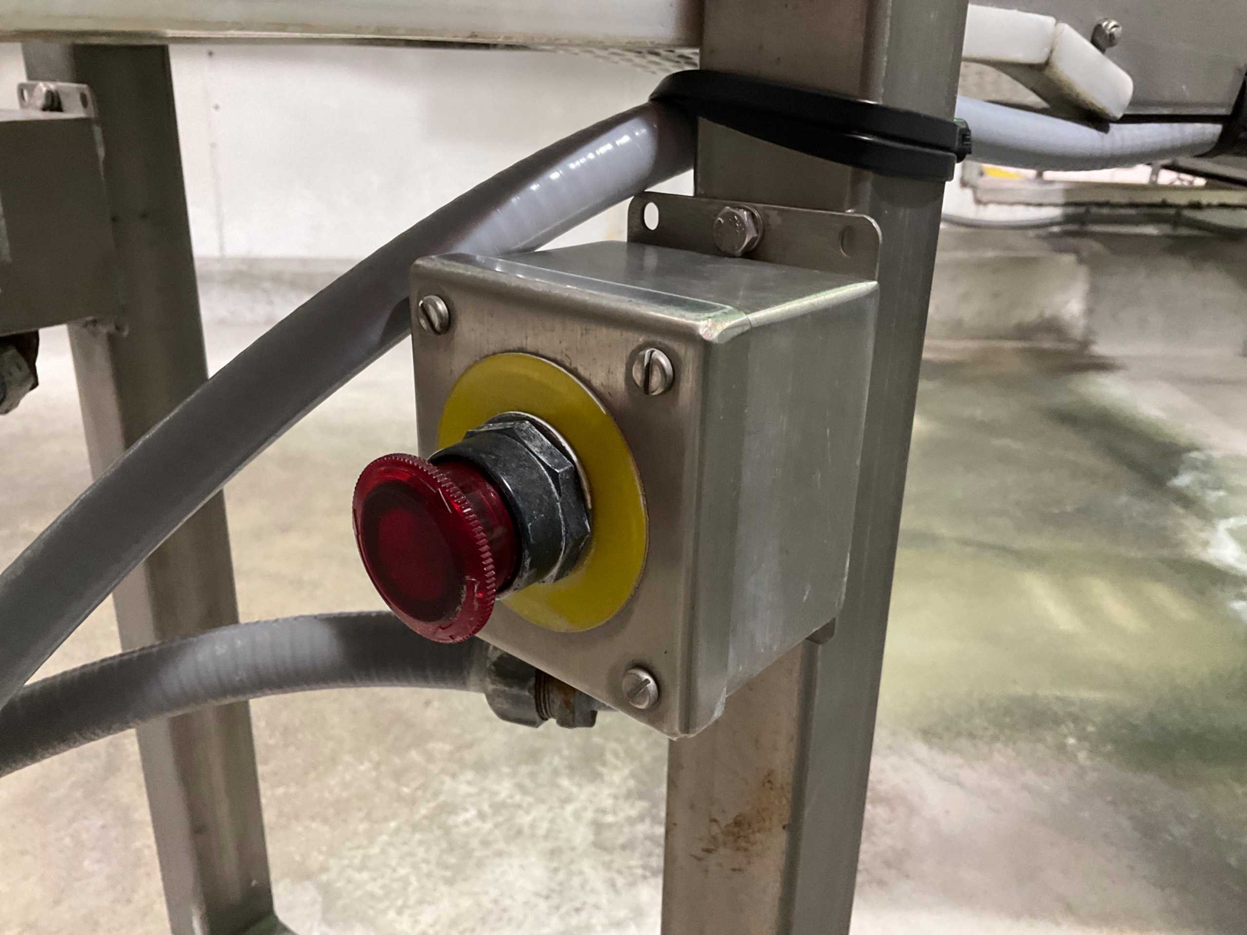 STAINLESS STEEL BELT CONVEYOR - BELT CONVEYOR