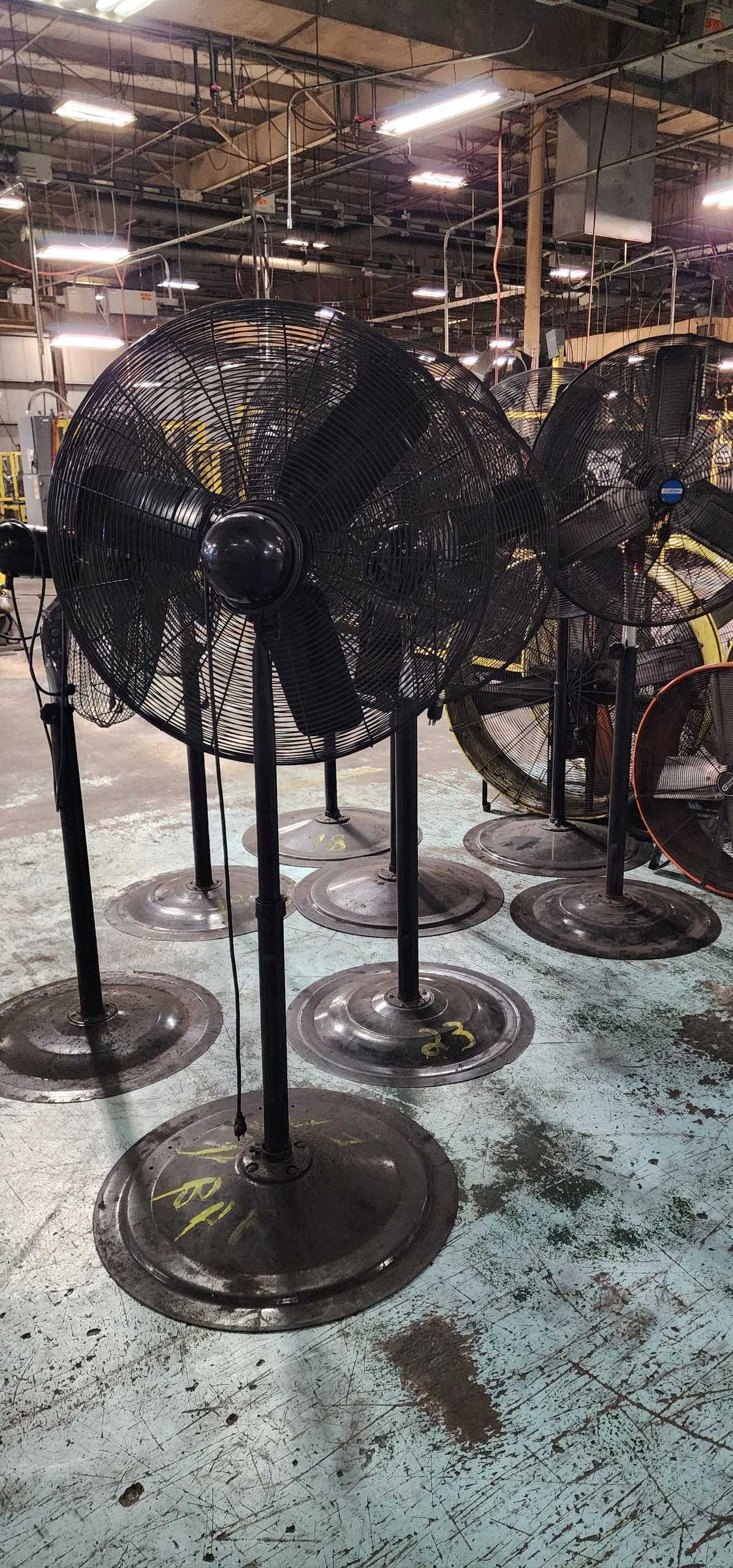 BULK QTY OF FANS