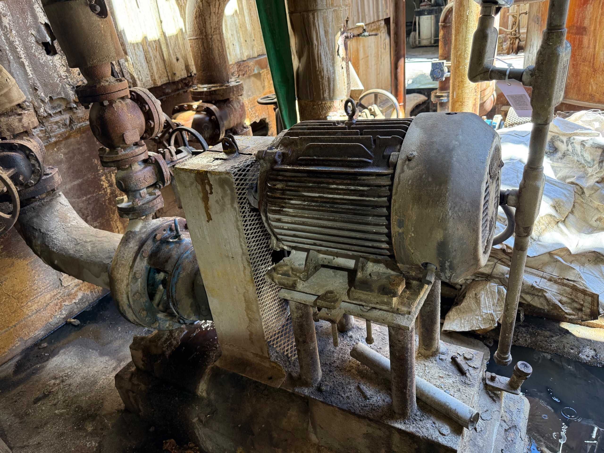 GOULDS 3196 PUMP & MOTOR ASSEMBLY - PUMP & MOTOR ASSEMBLY