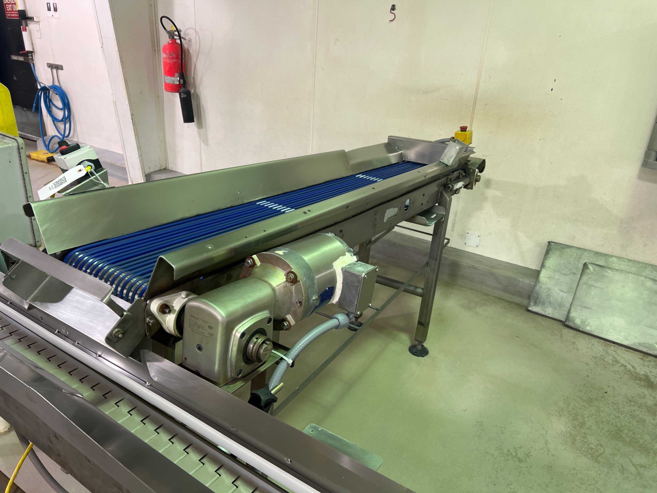 STAINLESS STEEL BELT CONVEYOR - BELT CONVEYOR