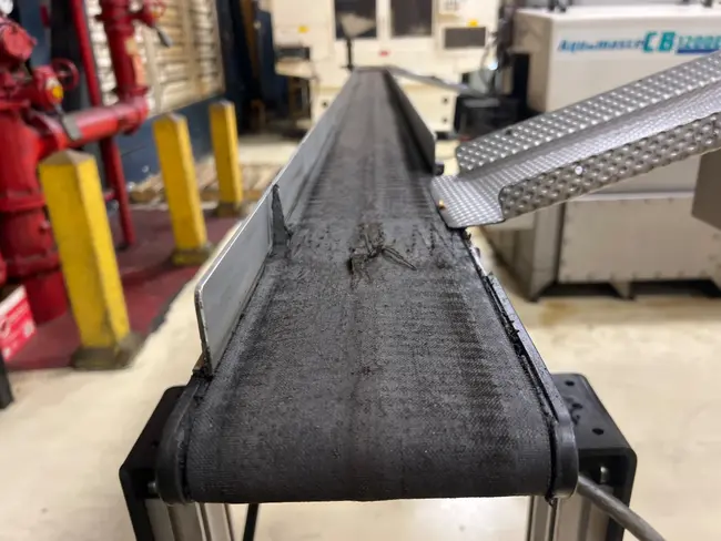 ADJUSTABLE POWER BELT CONVEYOR - undefined