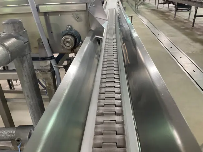 STAINLESS STEEL BELT CONVEYOR - undefined