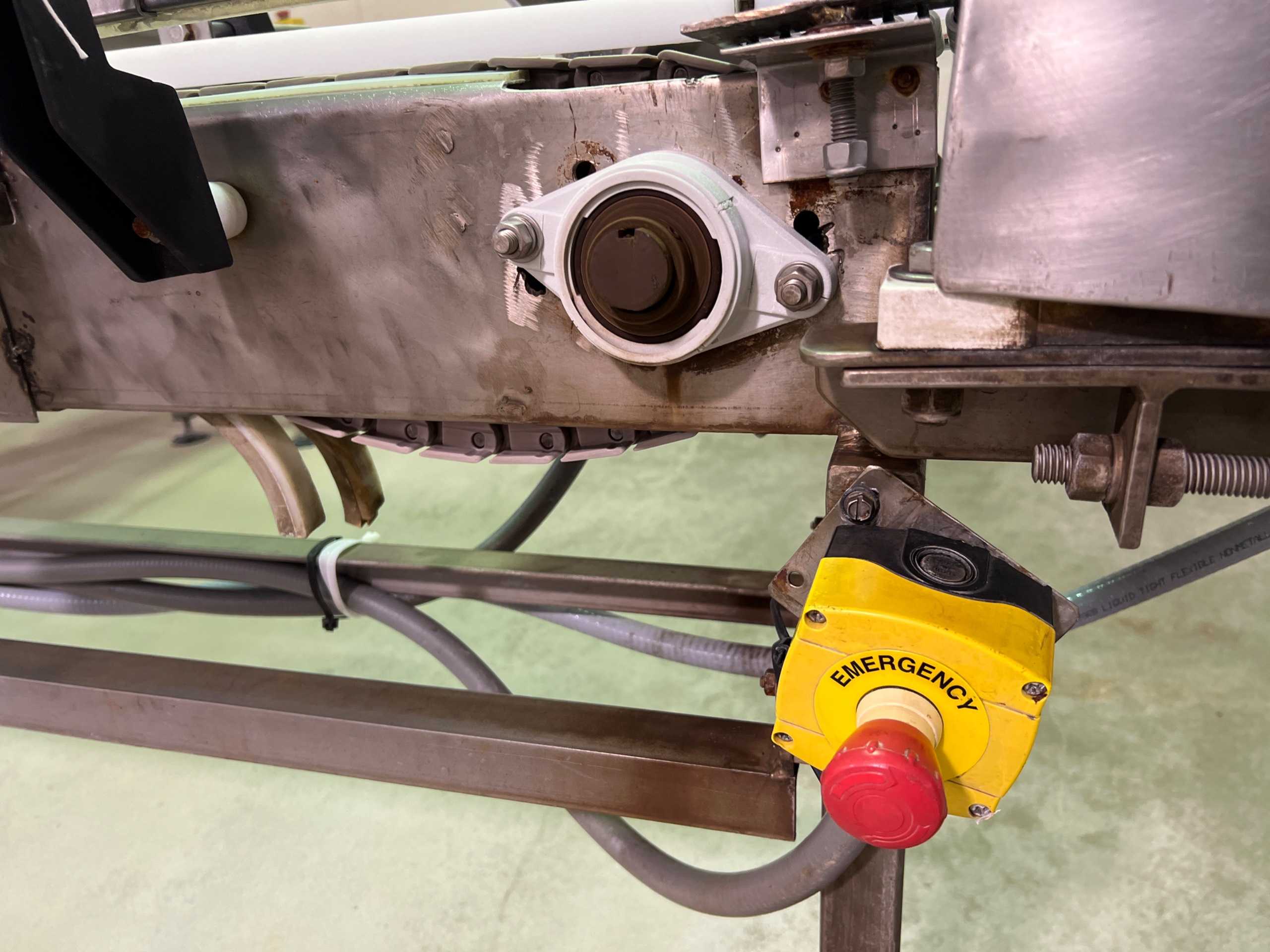 STAINLESS STEEL BELT CONVEYOR - BELT CONVEYOR