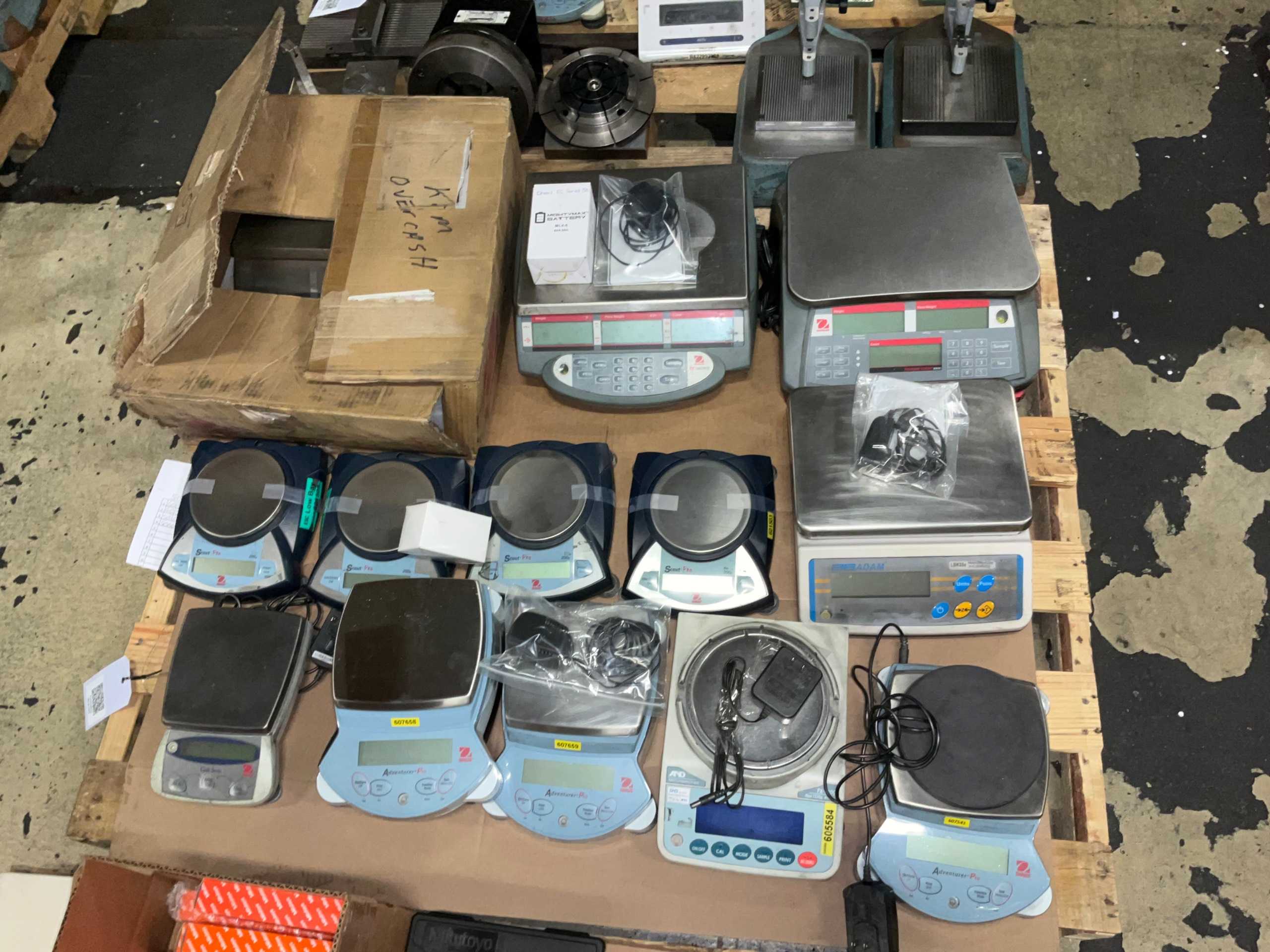 BULK QTY OF BENCH SCALES - BENCH SCALES