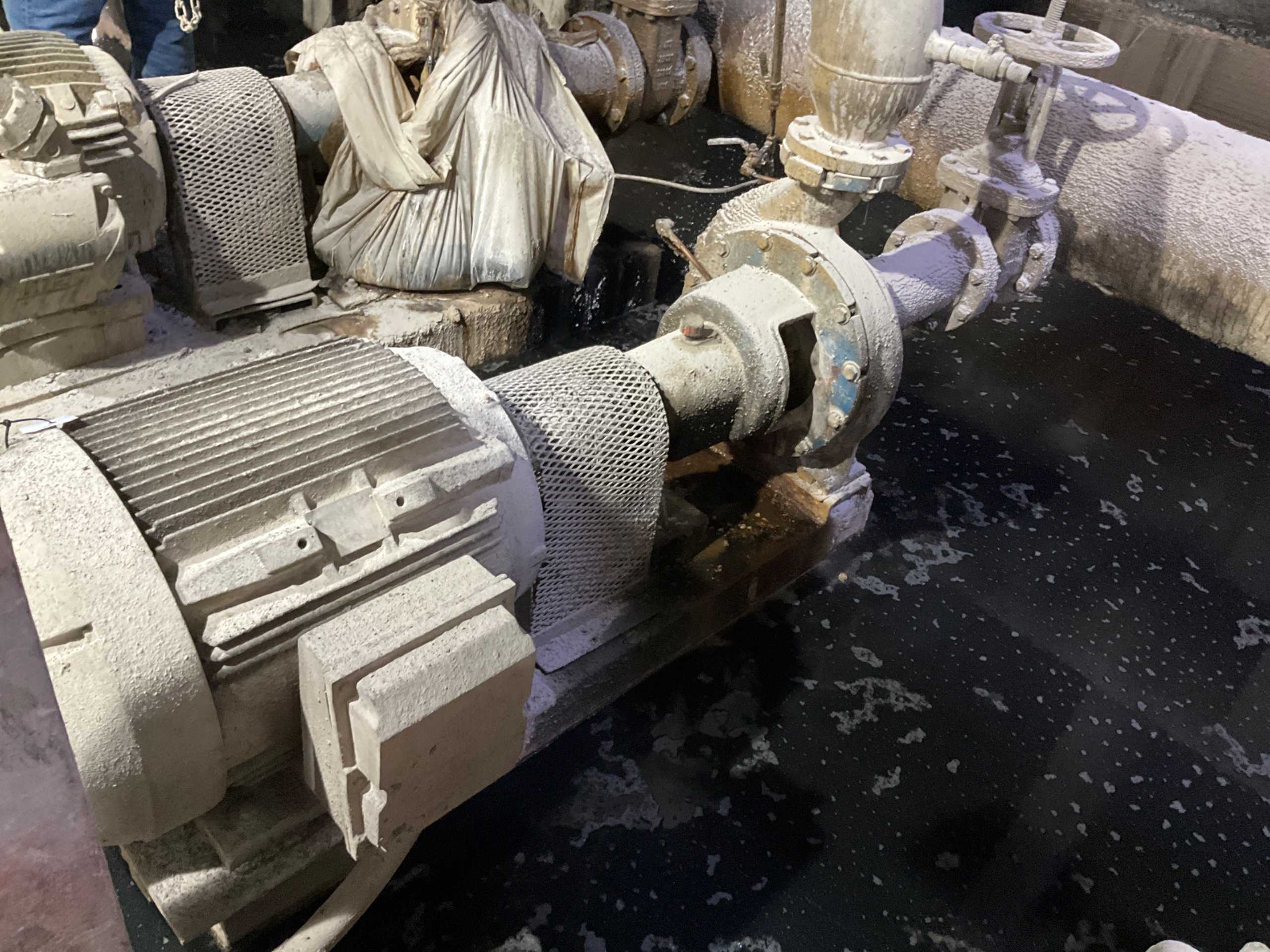 STAINLESS CENTRIFUGAL PUMP & 100 HP MOTOR ASSEMBLY - PUMP & MOTOR ASSEMBLY