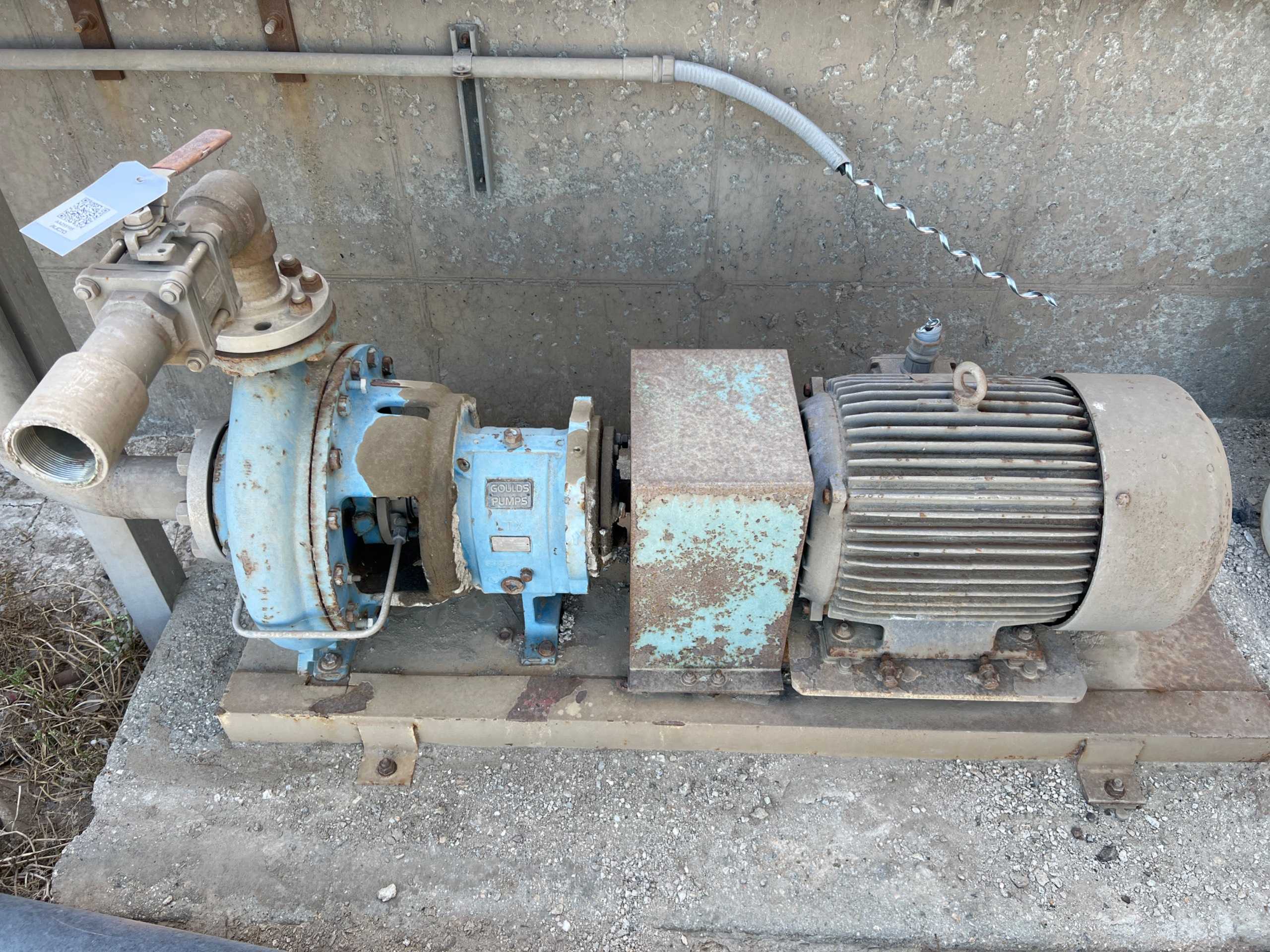 GOULDS PUMPS INC. 3196 PUMP WITH MOTOR - PUMP & MOTOR ASSEMBLY