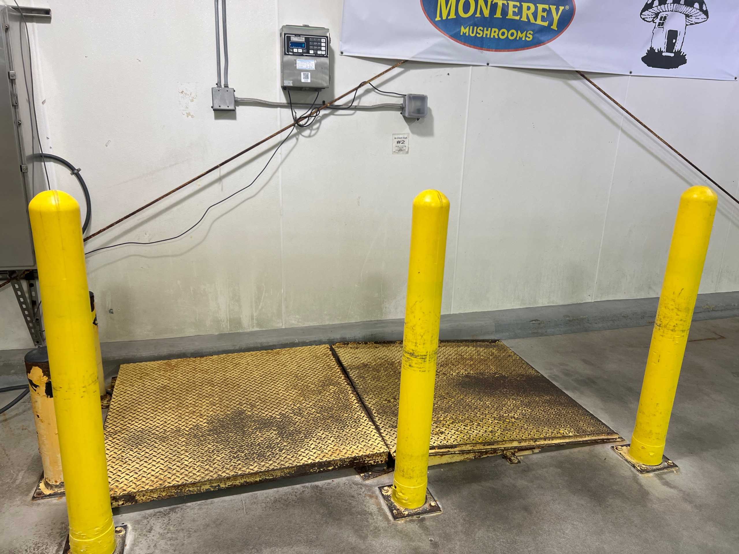FLEX-WEIGH CORPORATION DWM IV FLOOR SCALE - FLOOR SCALES