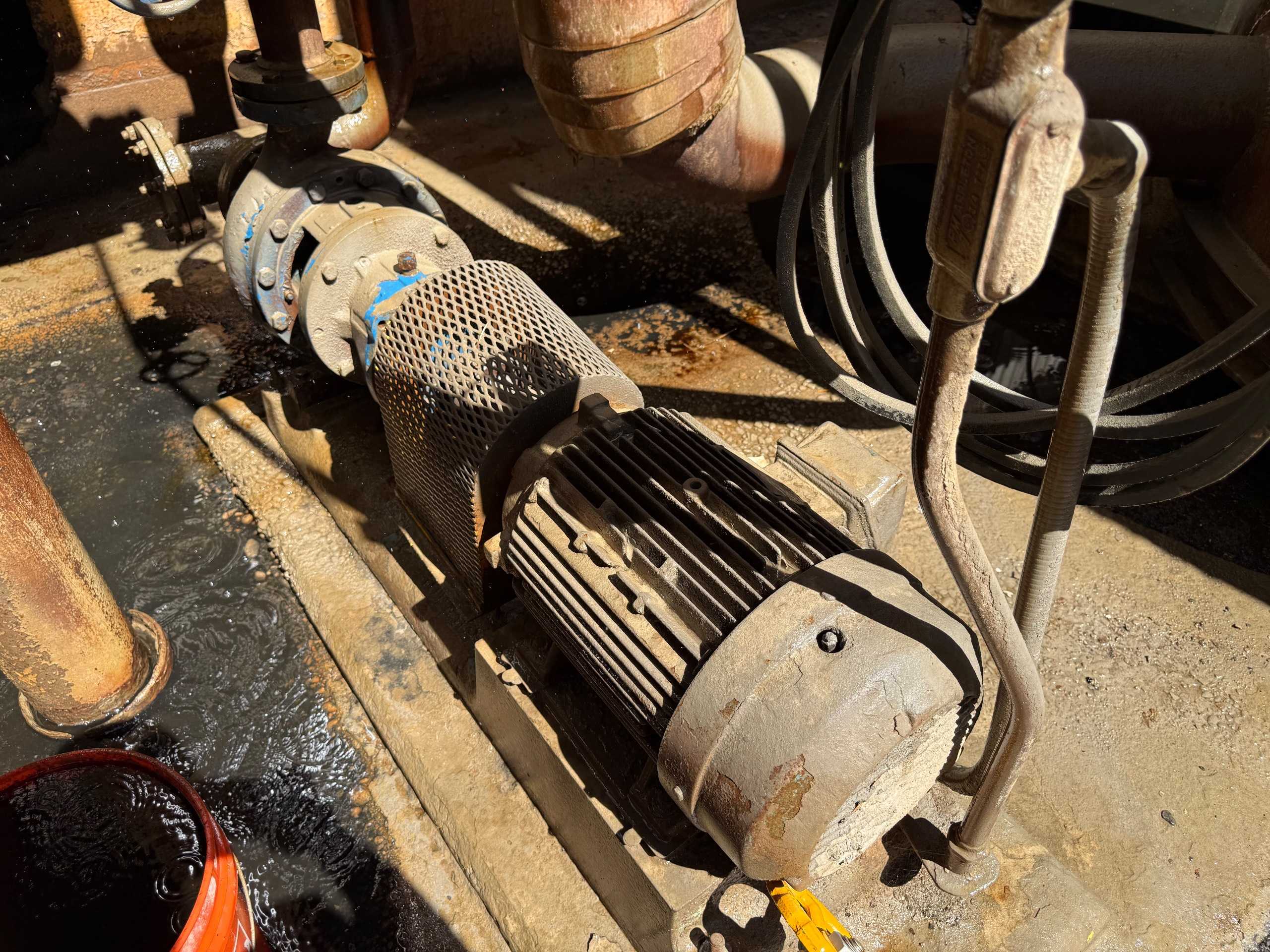 GOULDS 3196 MTO PUMP & MOTOR ASSEMBLY - PUMP & MOTOR ASSEMBLY