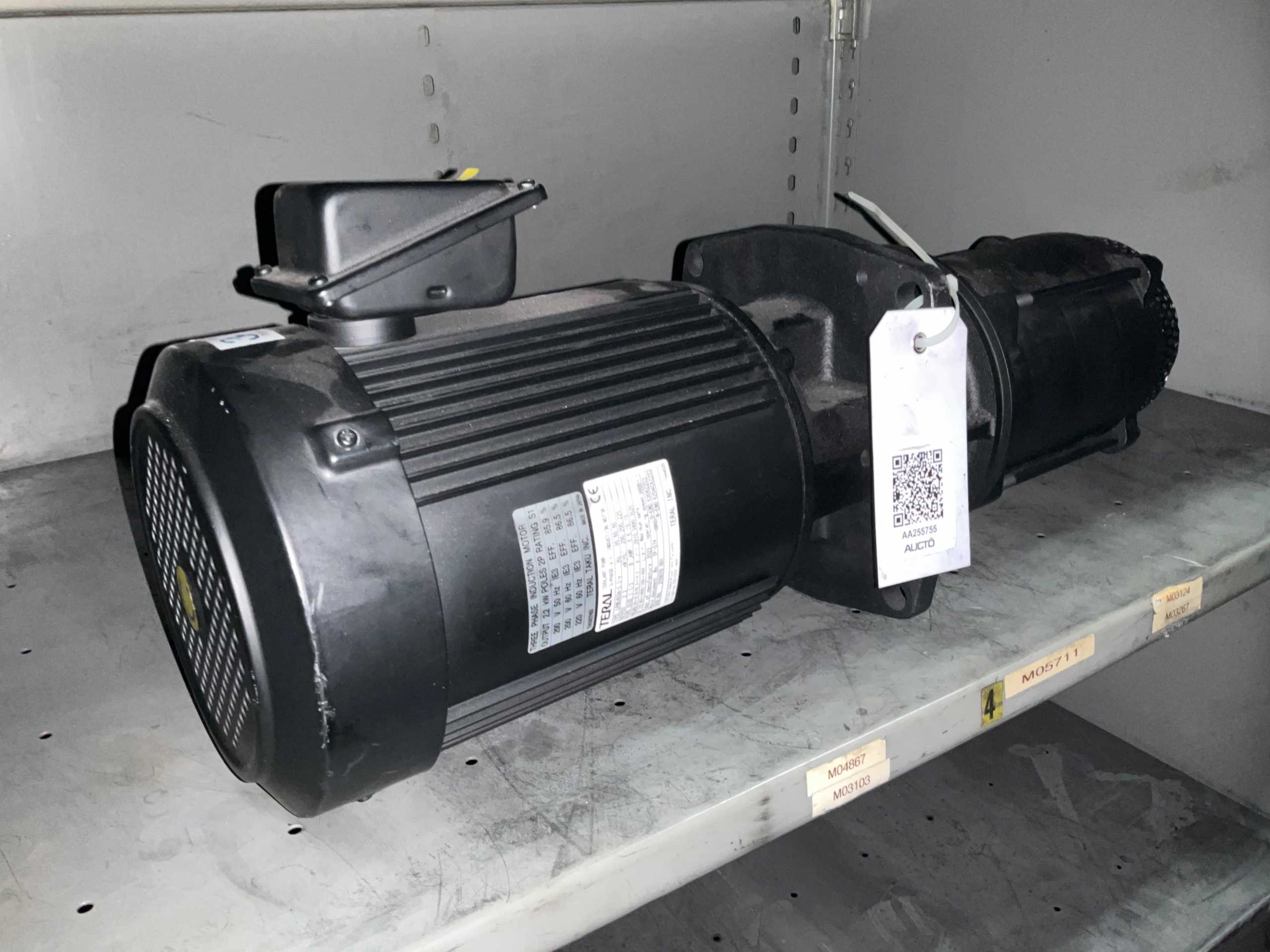 TERAL LPWE403A-2 PUMP & MOTOR ASSEMBLY - PUMP & MOTOR ASSEMBLY