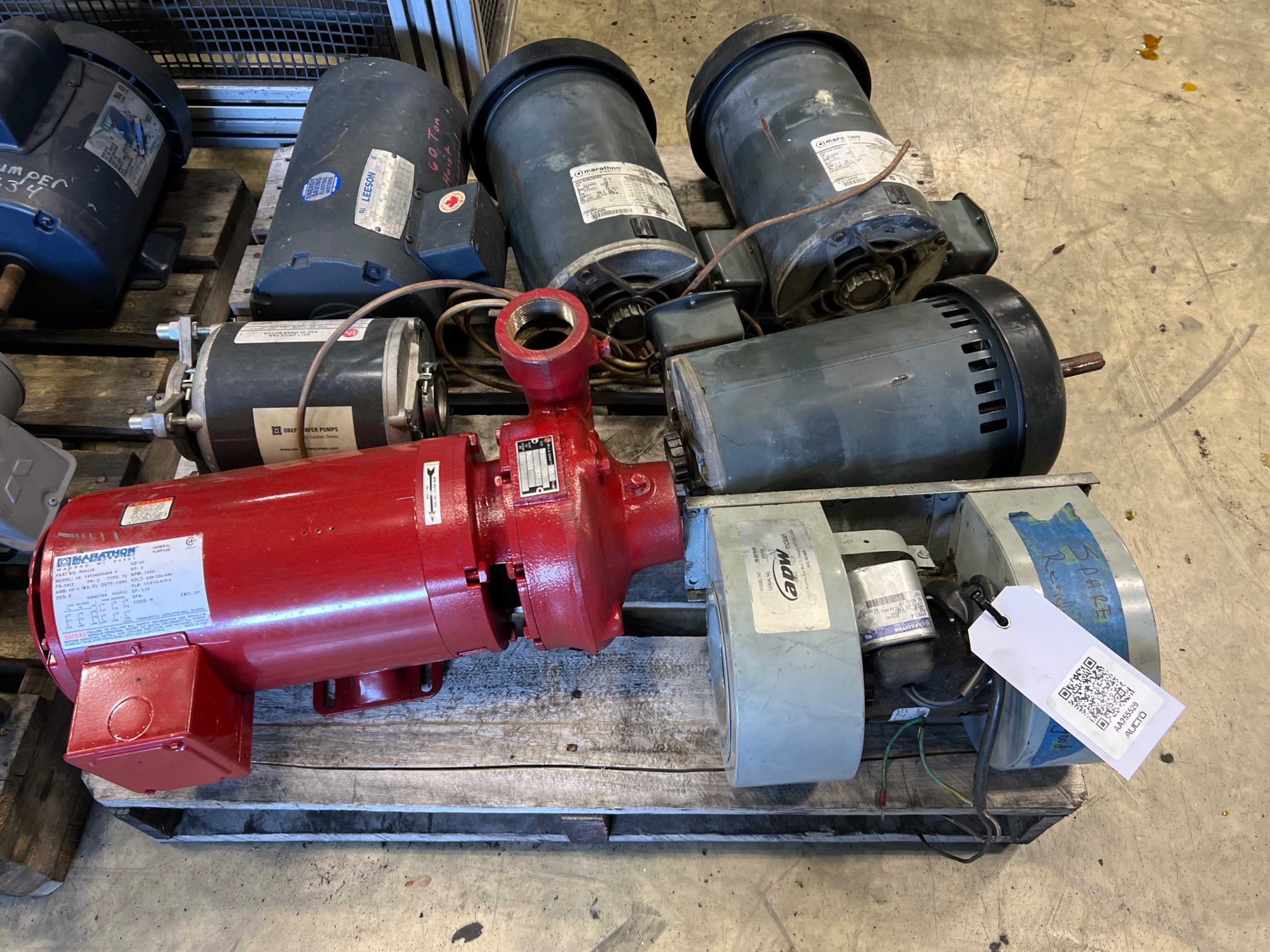 BULK QTY OF AC MOTORS & PUMP BULK QTY OF AC MOTORS & PUMP