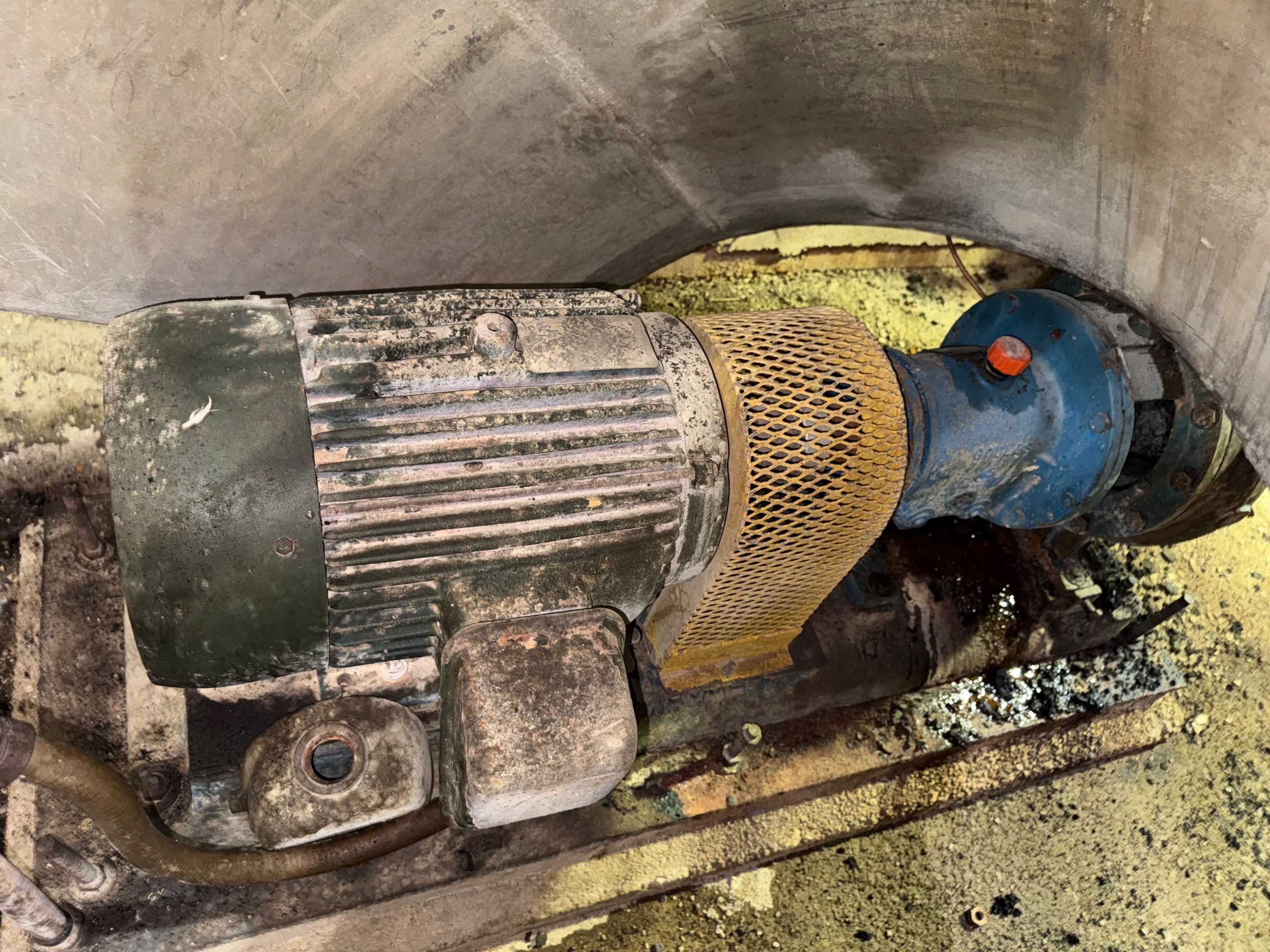 GOULDS 3196 PUMP & MOTOR ASSEMBLY - PUMP & MOTOR ASSEMBLY