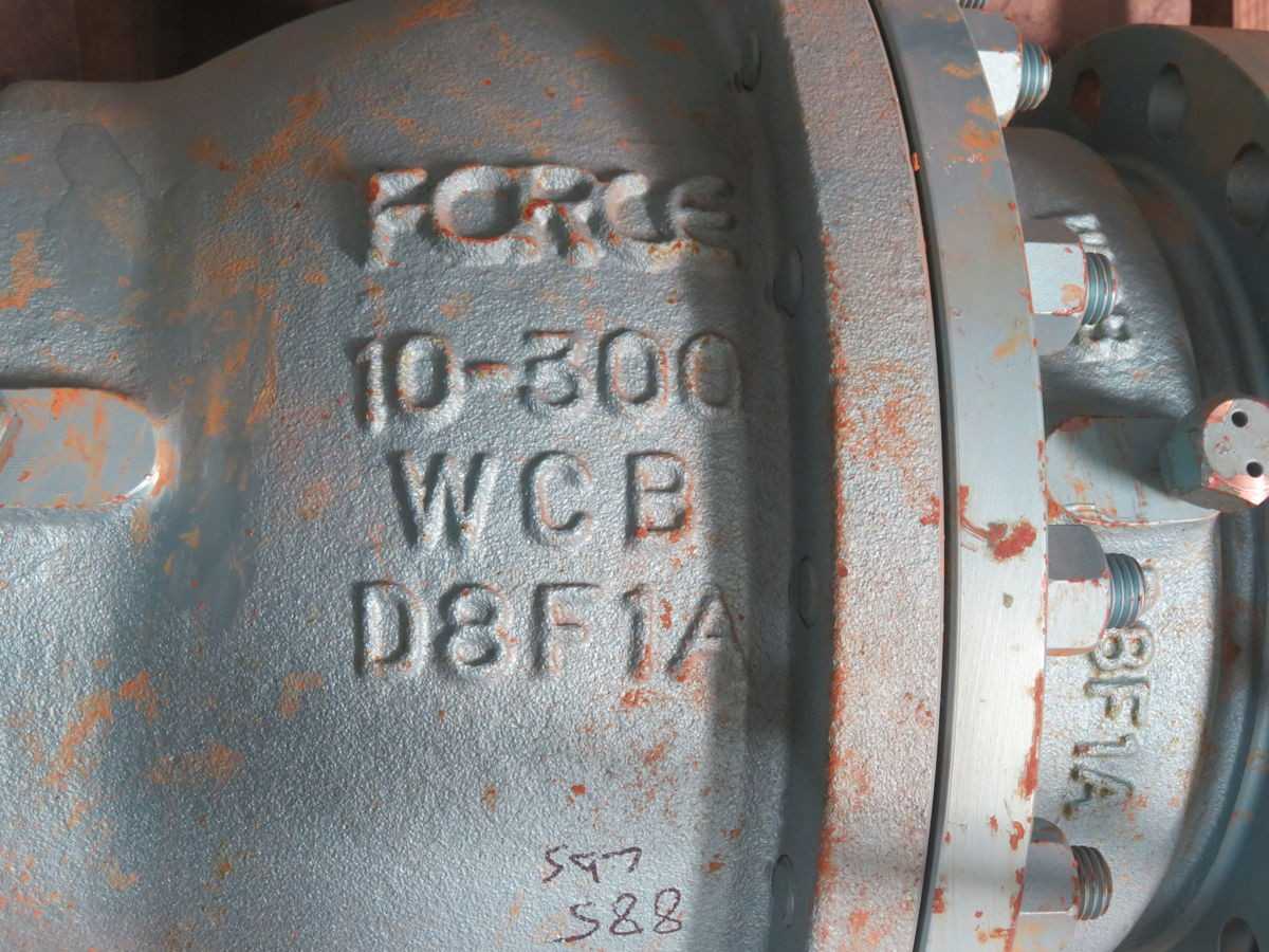 FORCE A216-WCB-ENP 10-300 WCB D8F1A GATE VALVE T264382 - VALVES