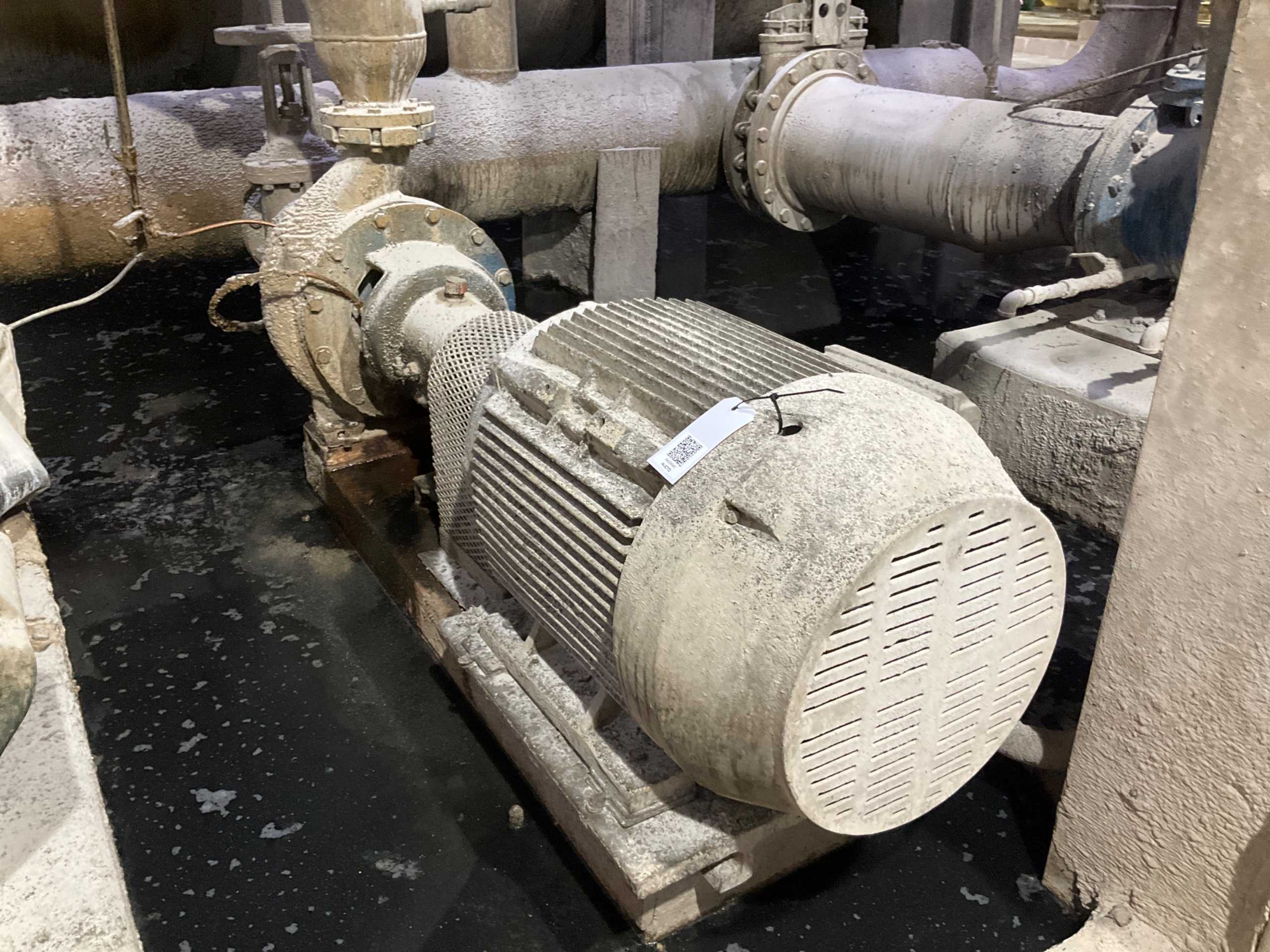 STAINLESS CENTRIFUGAL PUMP & 100 HP MOTOR ASSEMBLY - PUMP & MOTOR ASSEMBLY
