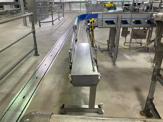 STAINLESS STEEL BELT CONVEYOR - undefined