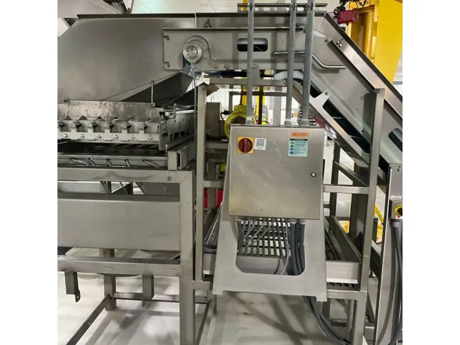 2006 DUTCH TECSOURCE DRY SLICER 2 LANES - undefined