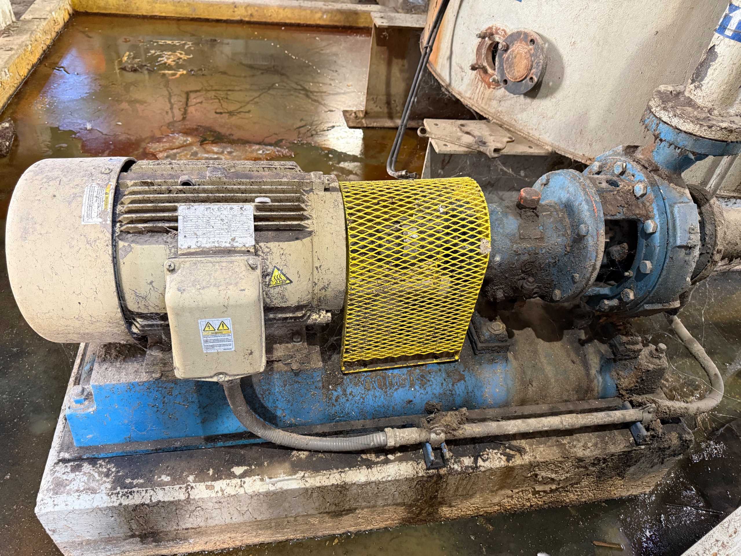 GOULDS 3196 PUMP & MOTOR ASSEMBLY - PUMP & MOTOR ASSEMBLY