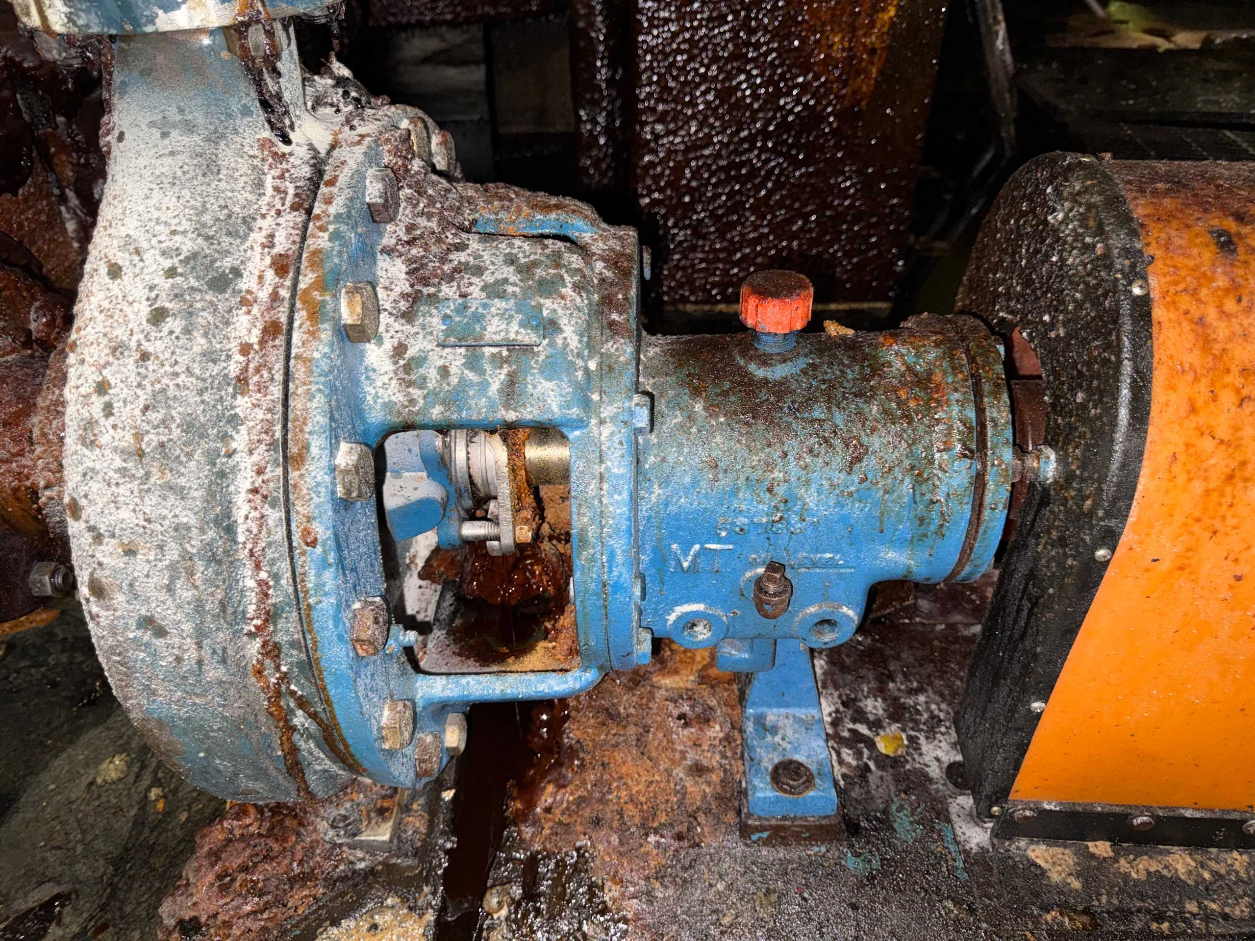 GOULDS 3196 MTO PUMP & MOTOR ASSEMBLY - PUMP & MOTOR ASSEMBLY