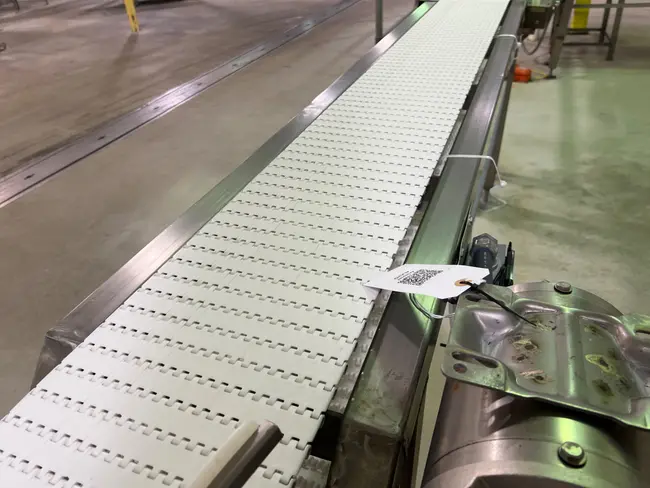 COASTAL MANUFACTURING INC STAINLESS STEEL BELT CONVEYOR - undefined