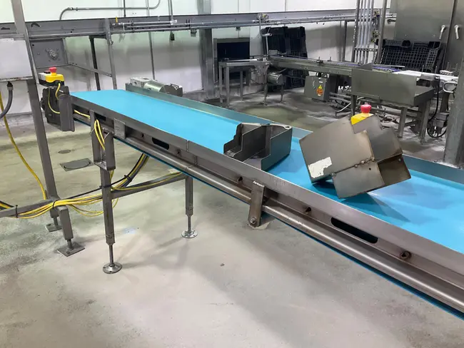 STAINLESS STEEL BELT CONVEYOR - undefined