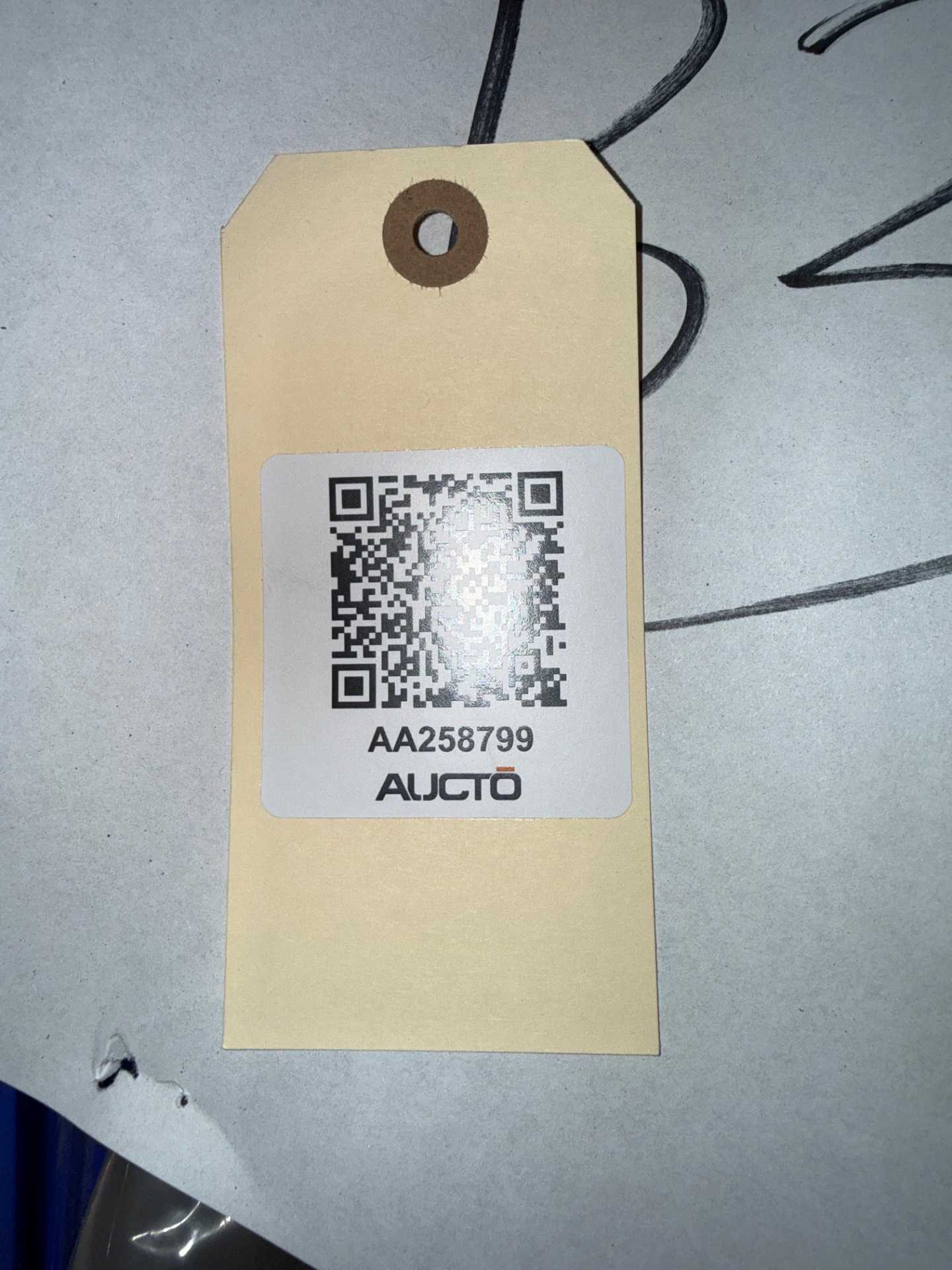 Bulk QTY of Seals - SEALS