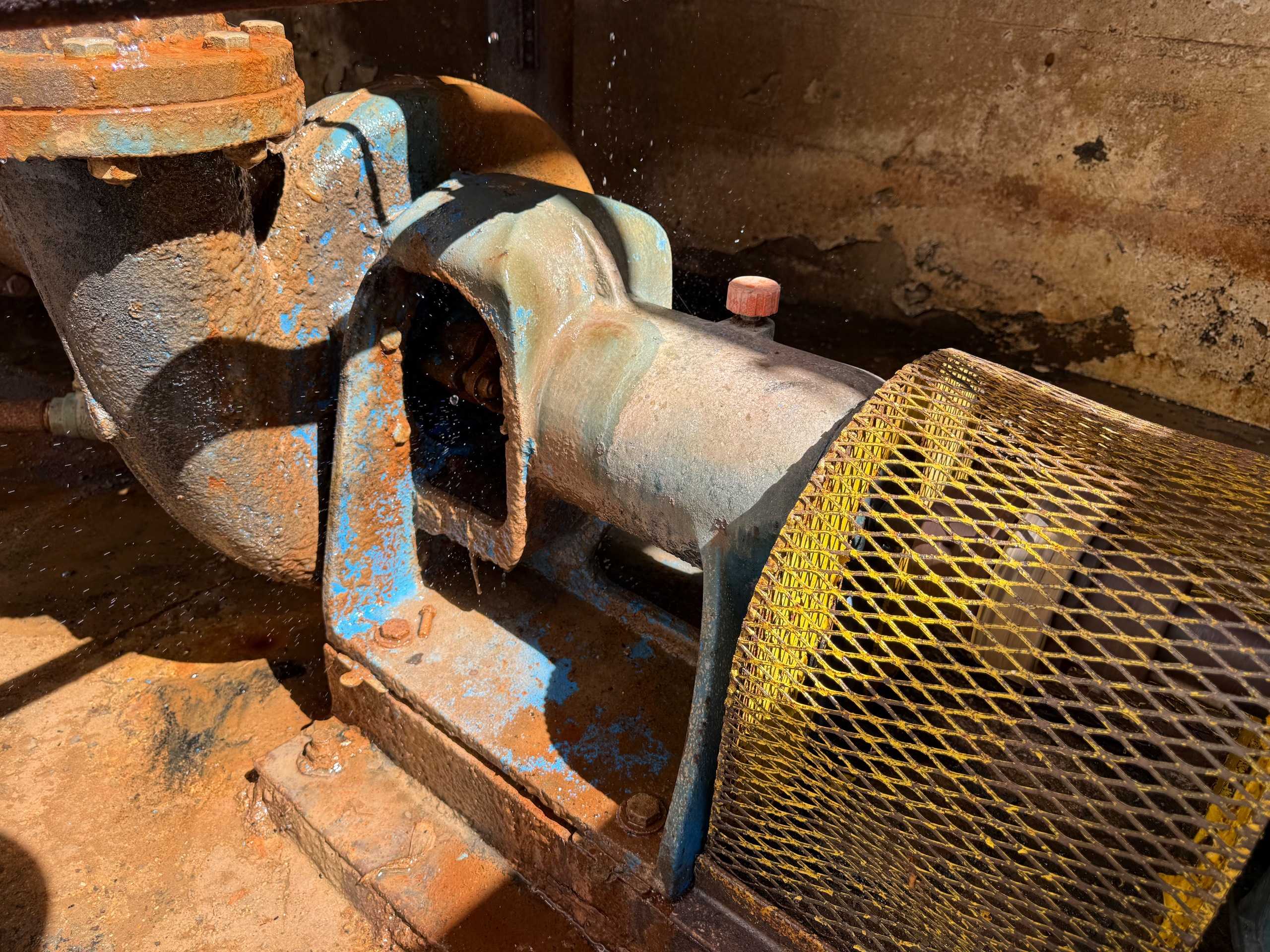 PUMP & MOTOR ASSEMBLY - PUMP & MOTOR ASSEMBLY