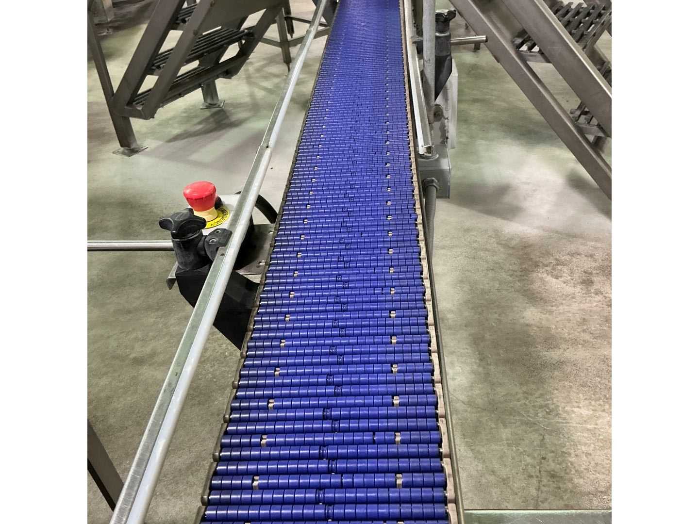 STAINLESS POWERED BELT CONVEYOR - BELT CONVEYOR