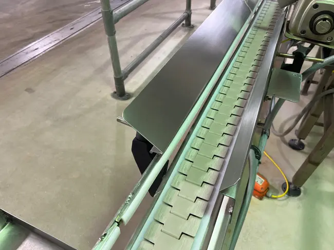 STAINLESS STEEL BELT CONVEYOR - undefined