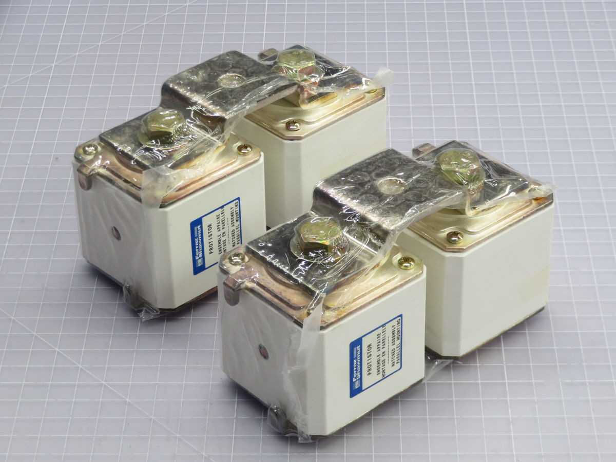 LOT OF 2 FERRAZ SHAWMUT N300737 PLUG FUSES - FUSES