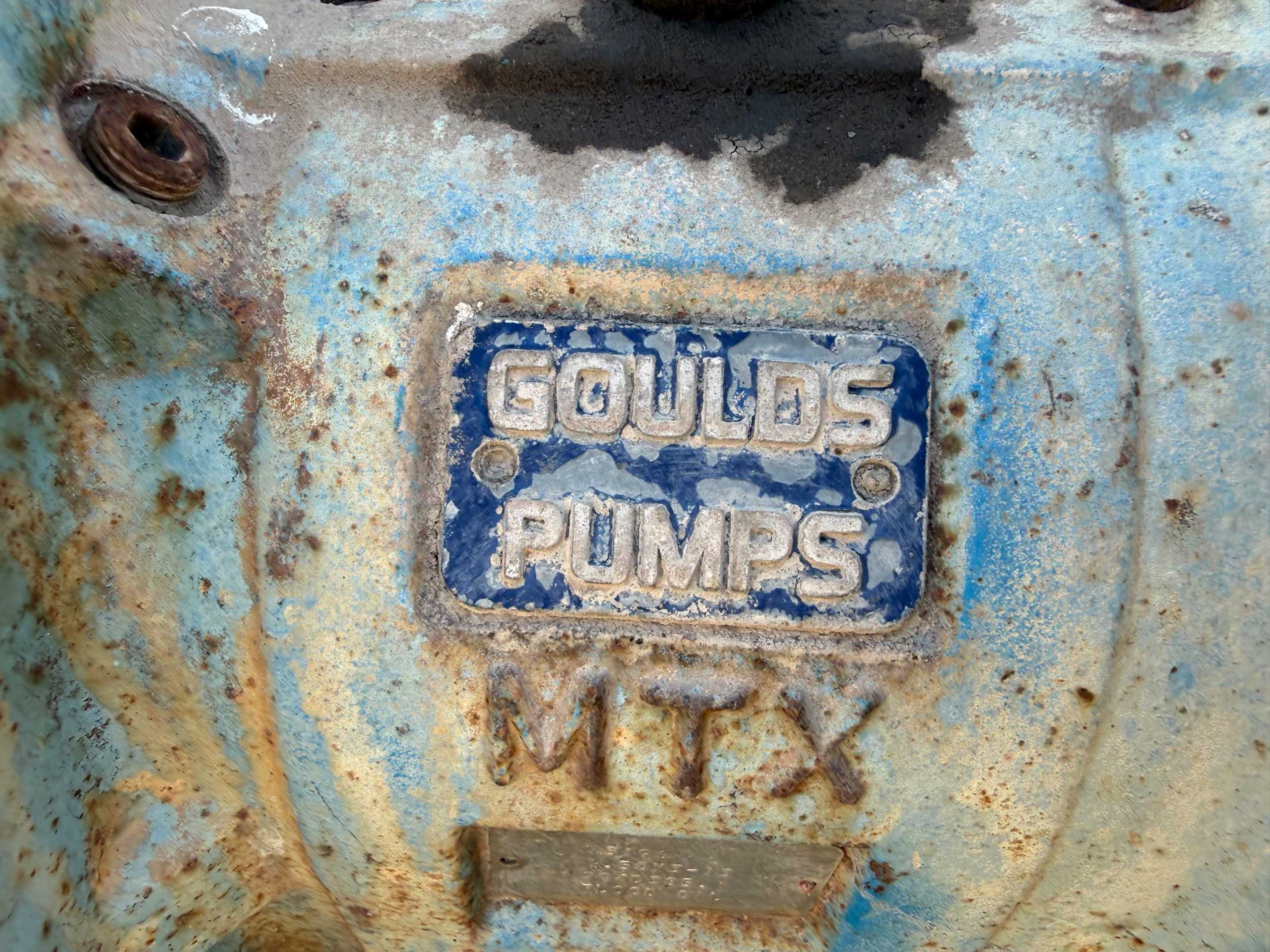 GOULDS 3196 PUMP & 30 HP MOTOR ASSEMBLY - PUMP & MOTOR ASSEMBLY