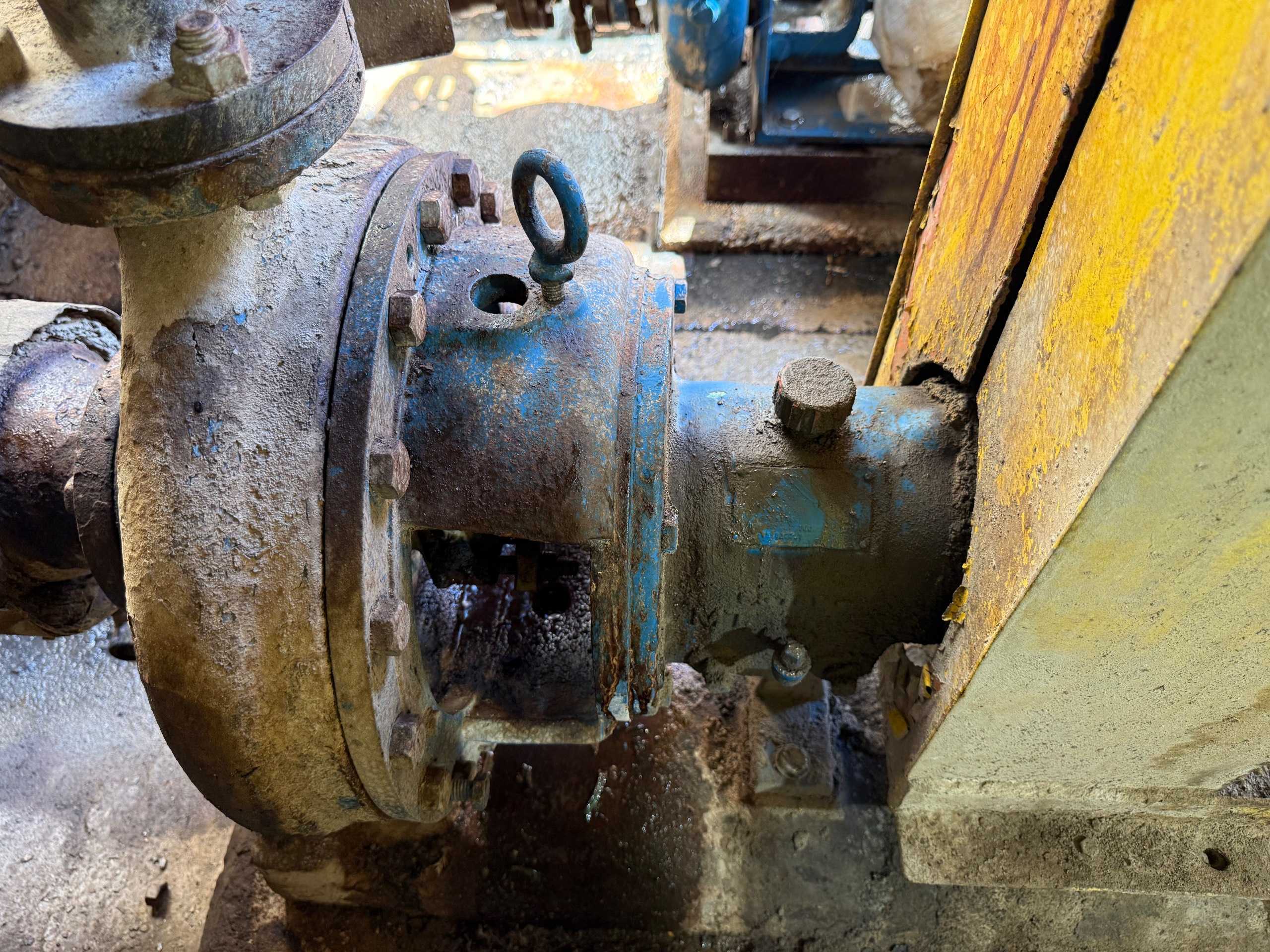 GOULDS 3196 PUMP & MOTOR ASSEMBLY - PUMP & MOTOR ASSEMBLY