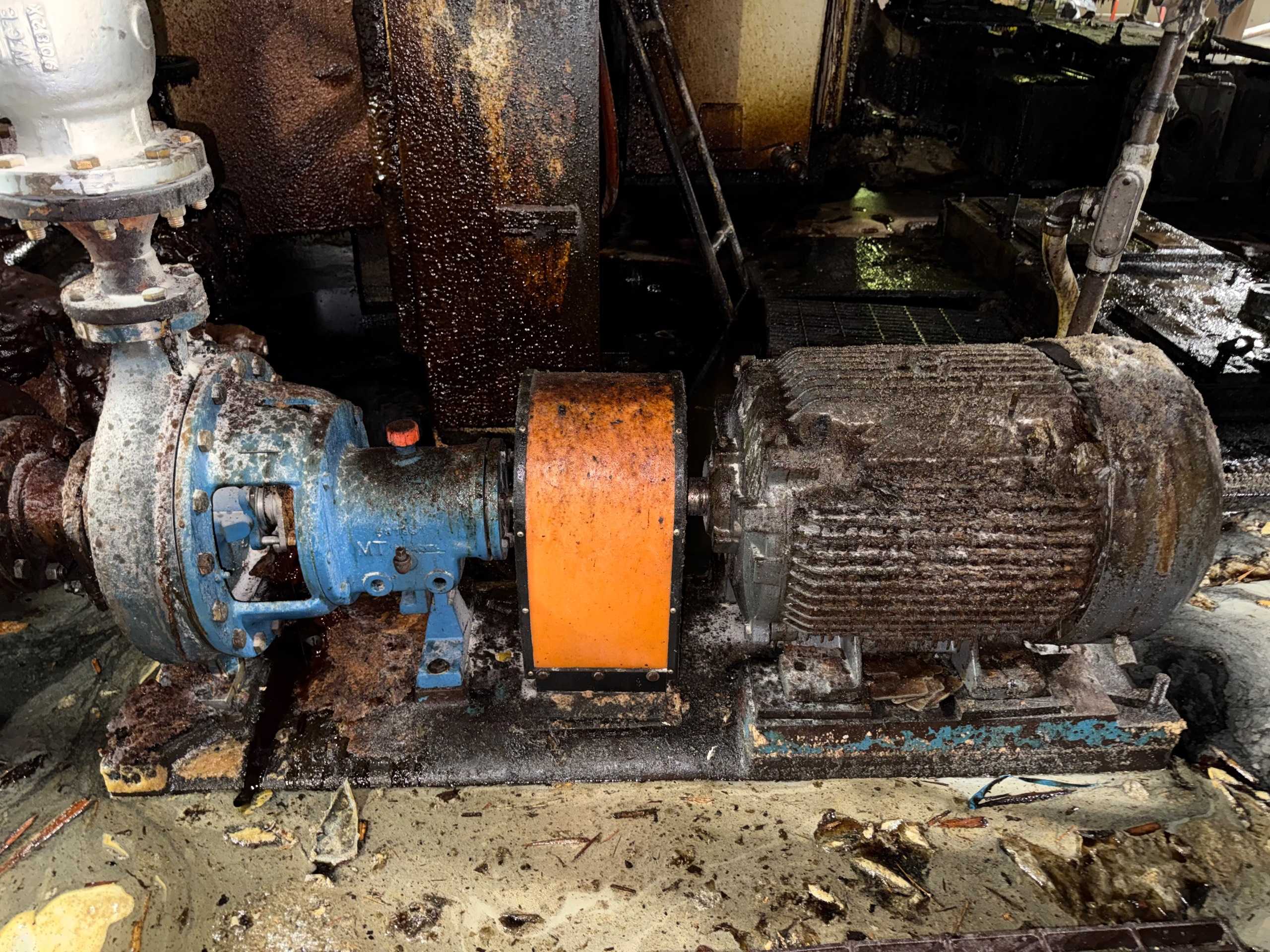 GOULDS 3196 MTO PUMP & MOTOR ASSEMBLY - PUMP & MOTOR ASSEMBLY