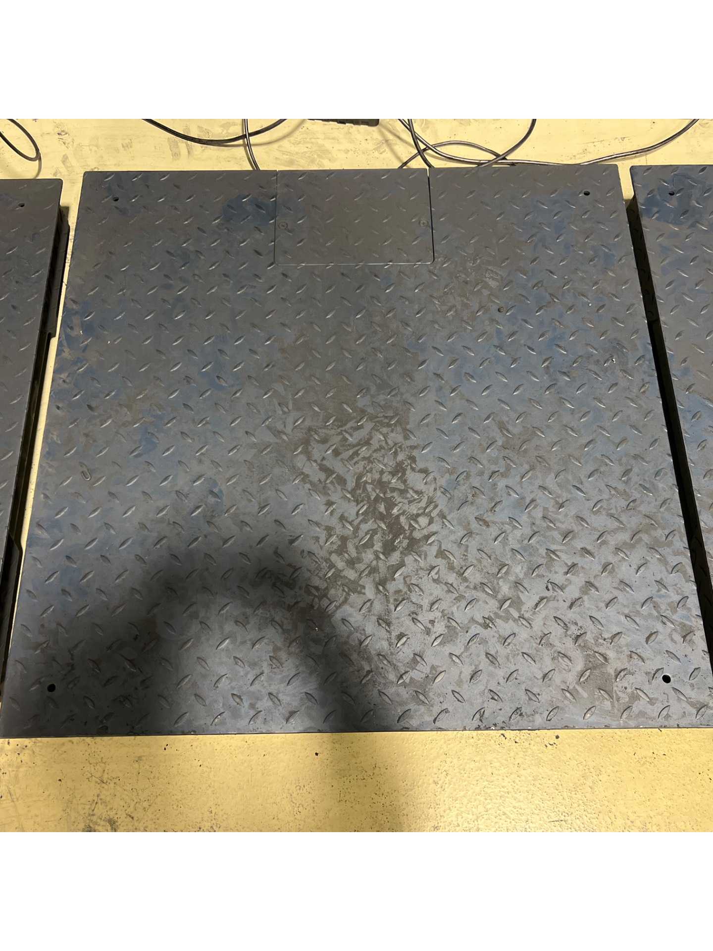 RICE LAKE FLOOR SCALE - FLOOR SCALES