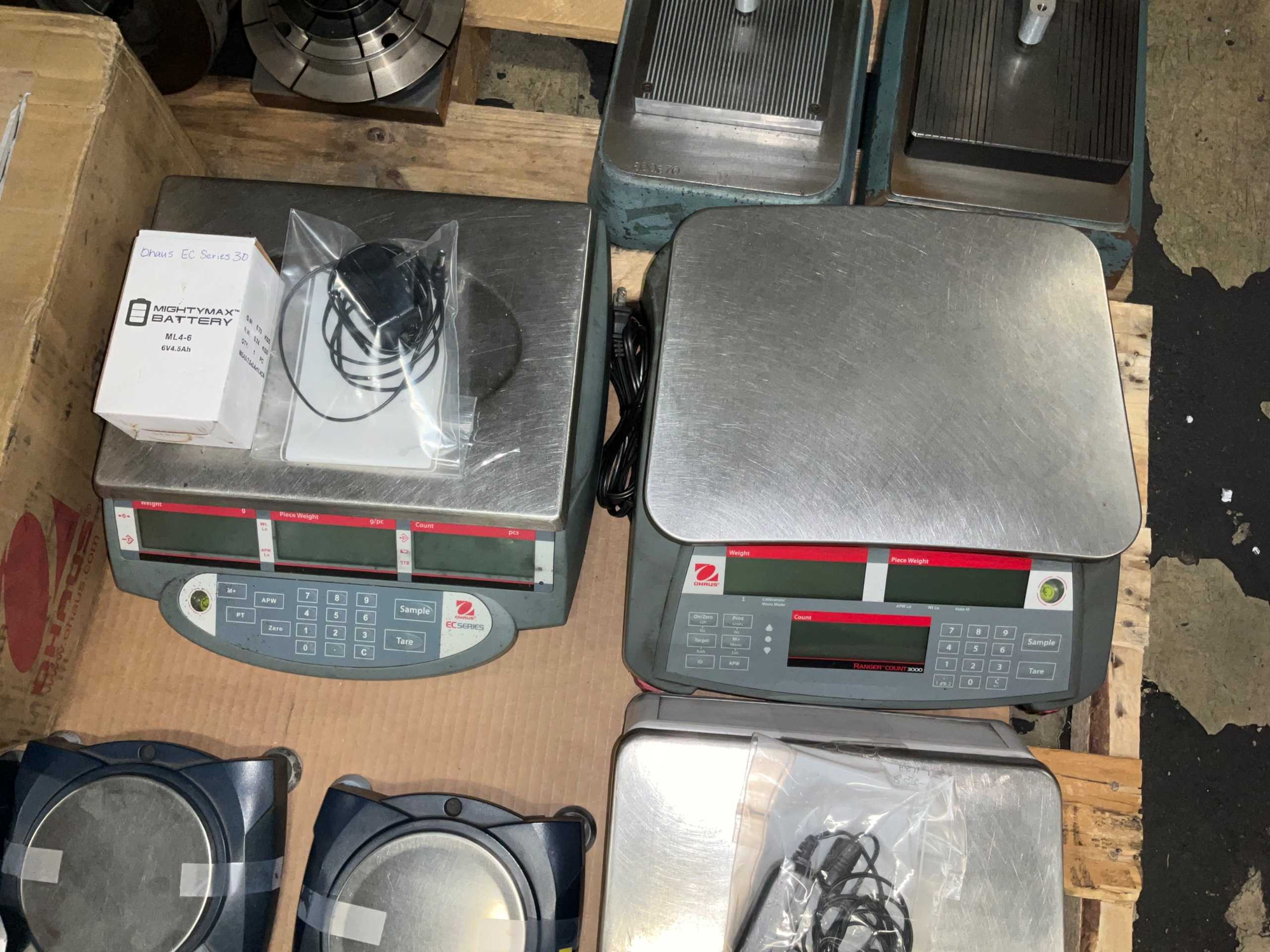 BULK QTY OF BENCH SCALES - BENCH SCALES
