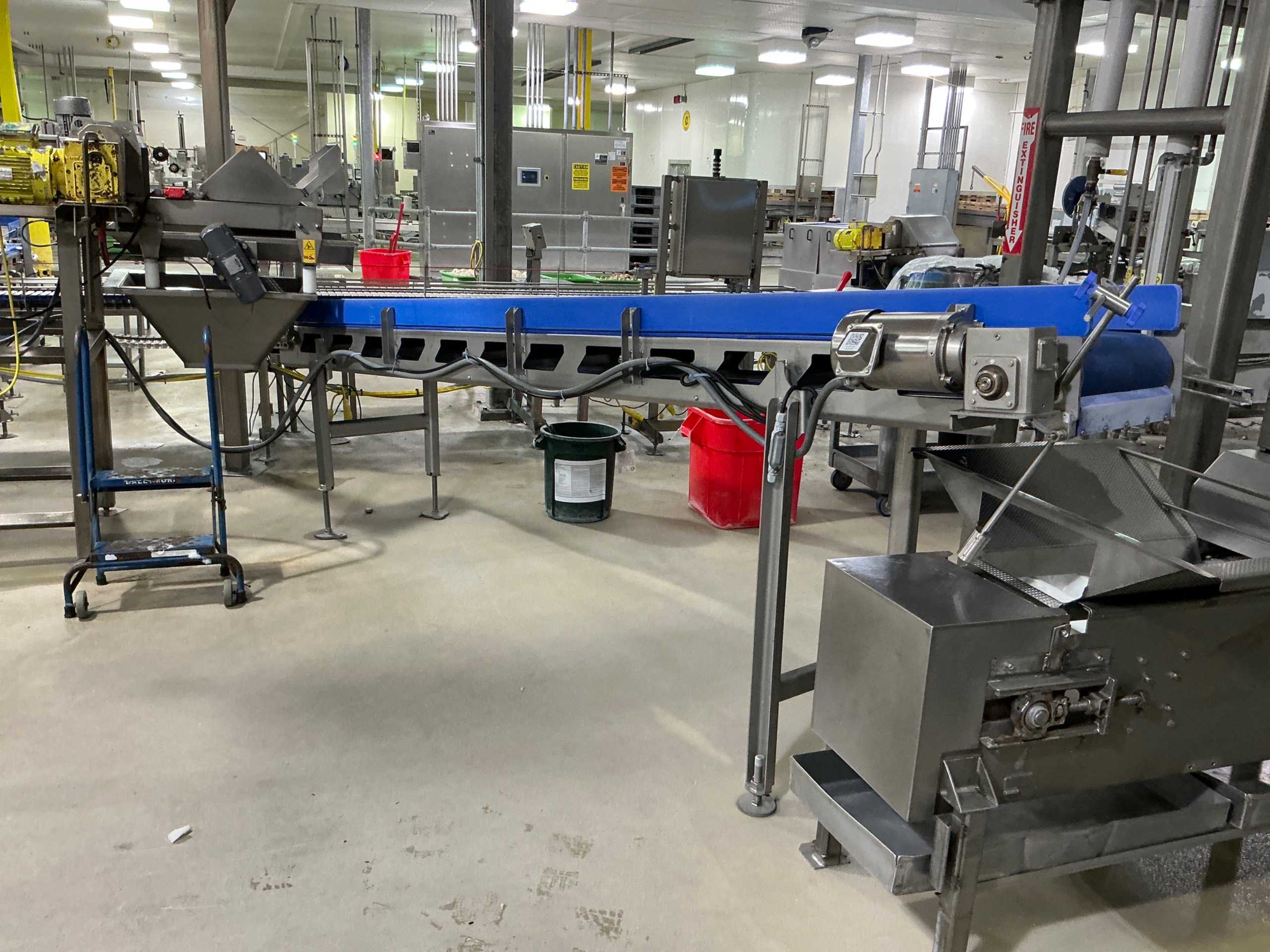 STAINLESS BELT CONVEYOR - BELT CONVEYOR