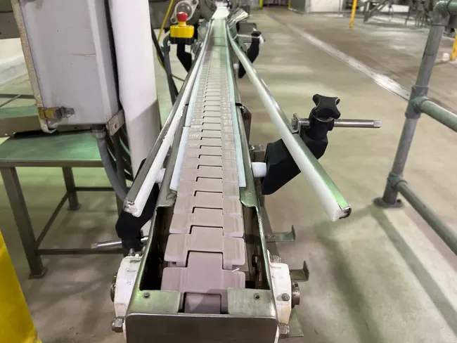 STAINLESS STEEL BELT CONVEYOR - undefined