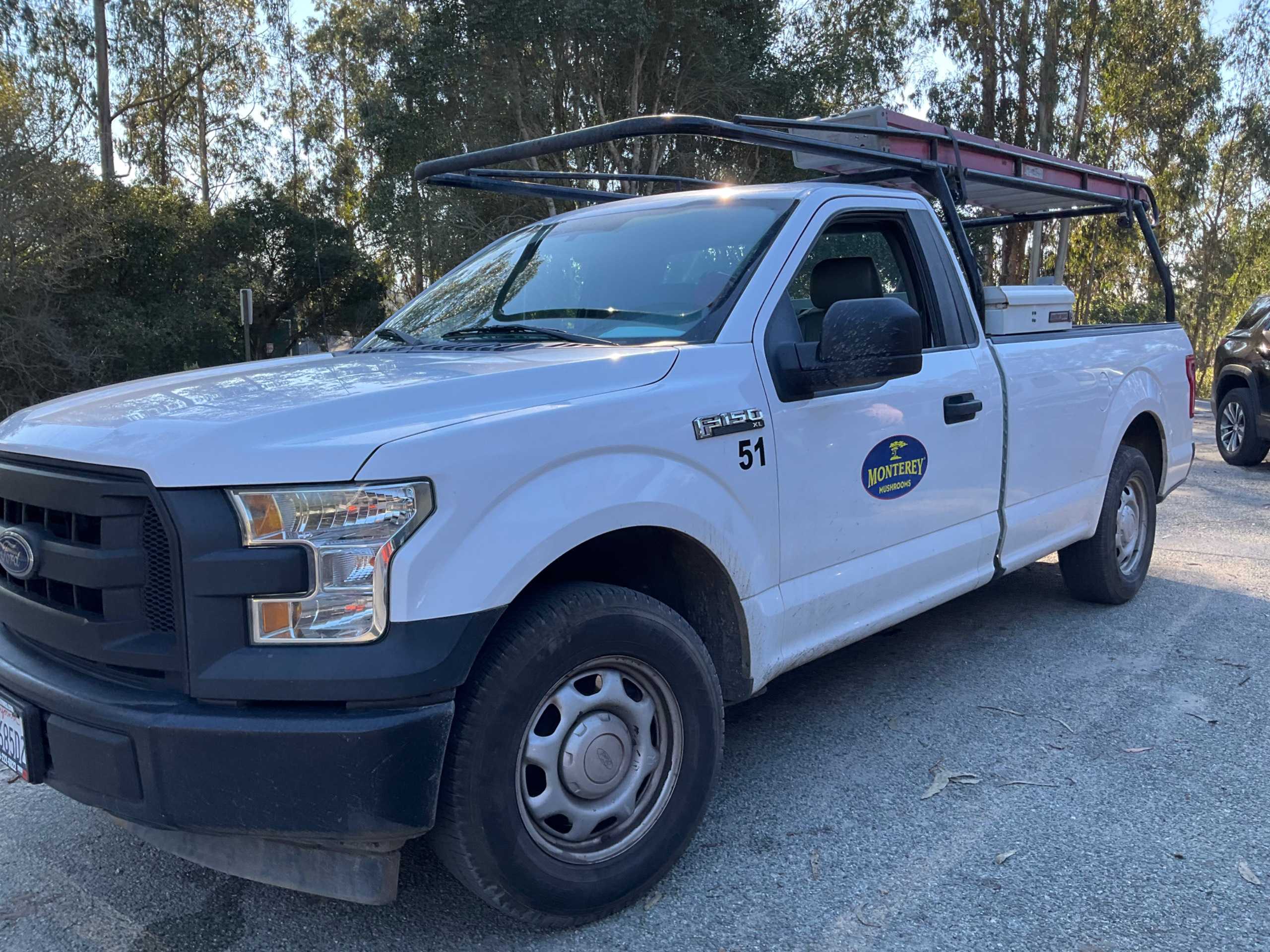 2016 FORD F-150 PICKUP TRUCK - PICKUP TRUCK