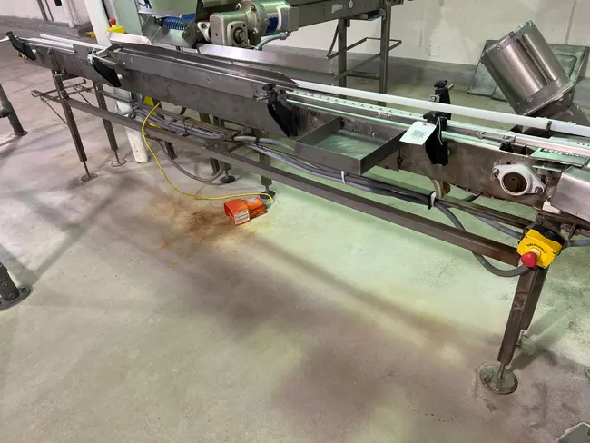 STAINLESS STEEL BELT CONVEYOR - undefined