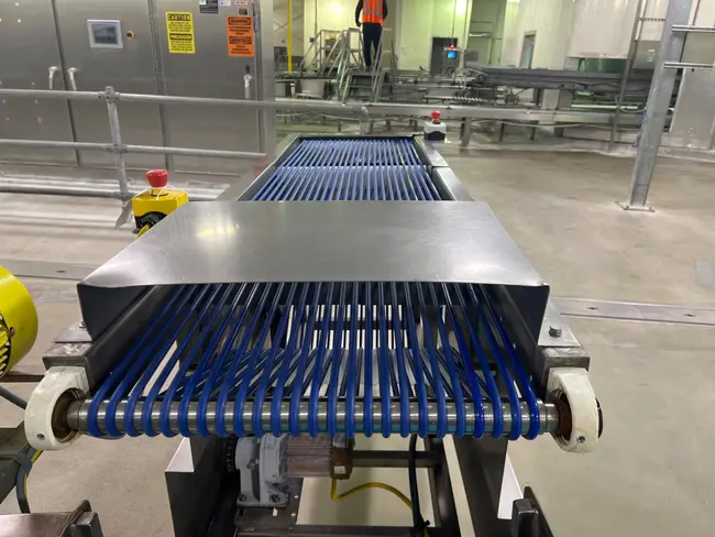 STAINLESS STEEL BELT CONVEYOR - undefined