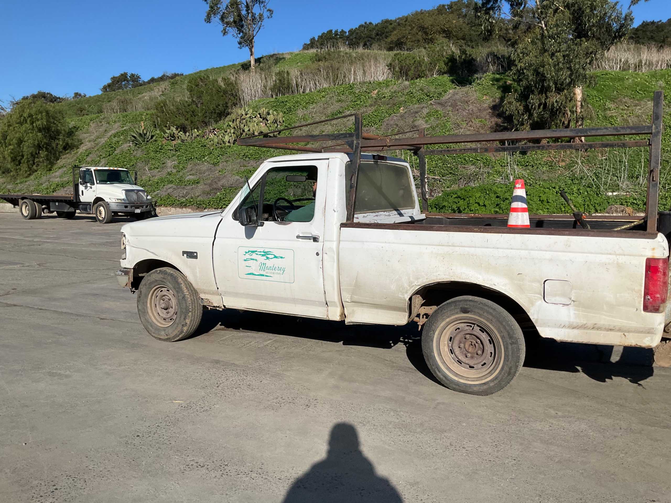 1994 FORD F-150 PICKUP TRUCK - PICKUP TRUCKS