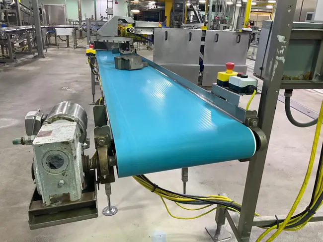 STAINLESS STEEL BELT CONVEYOR - undefined